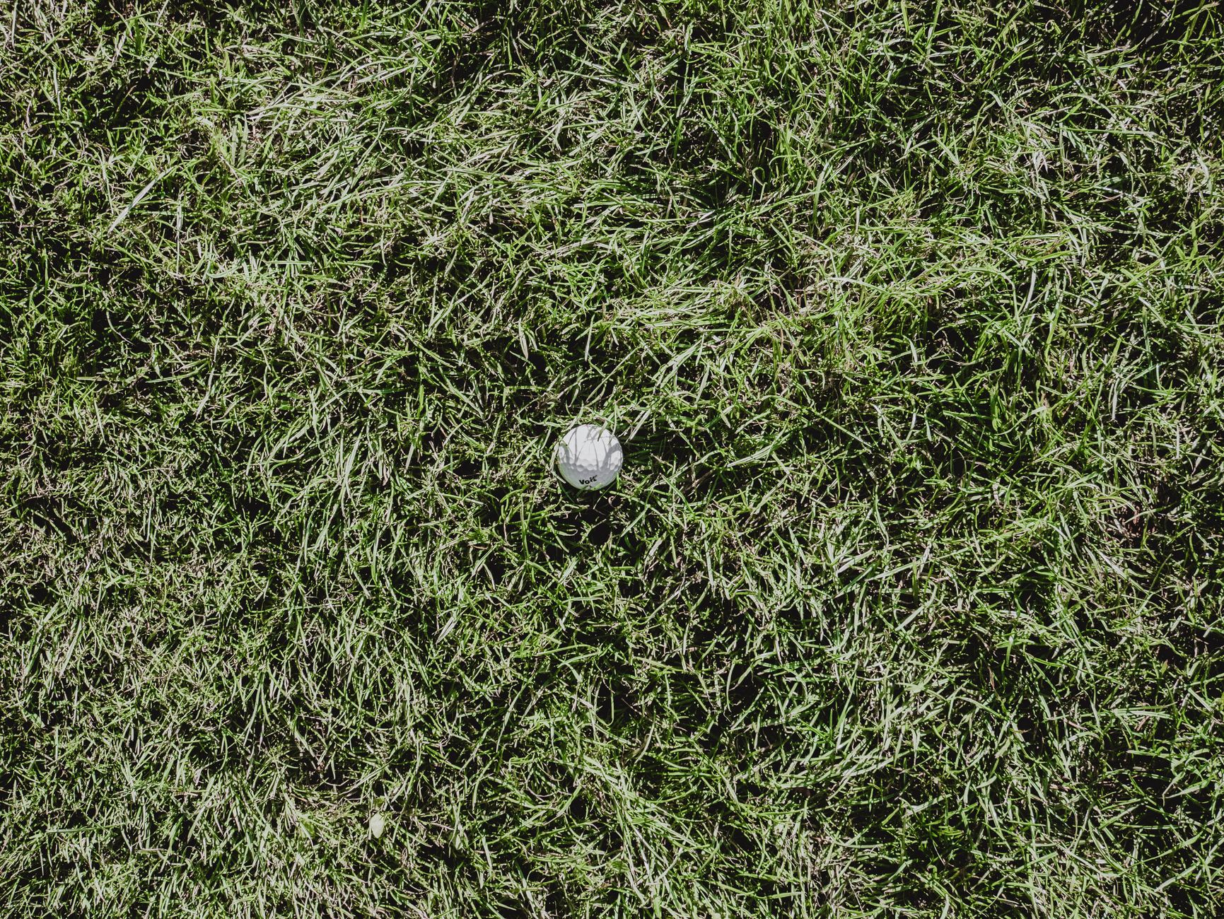 A single golf ball nestled among textured green grass, viewed from above on a sunny day