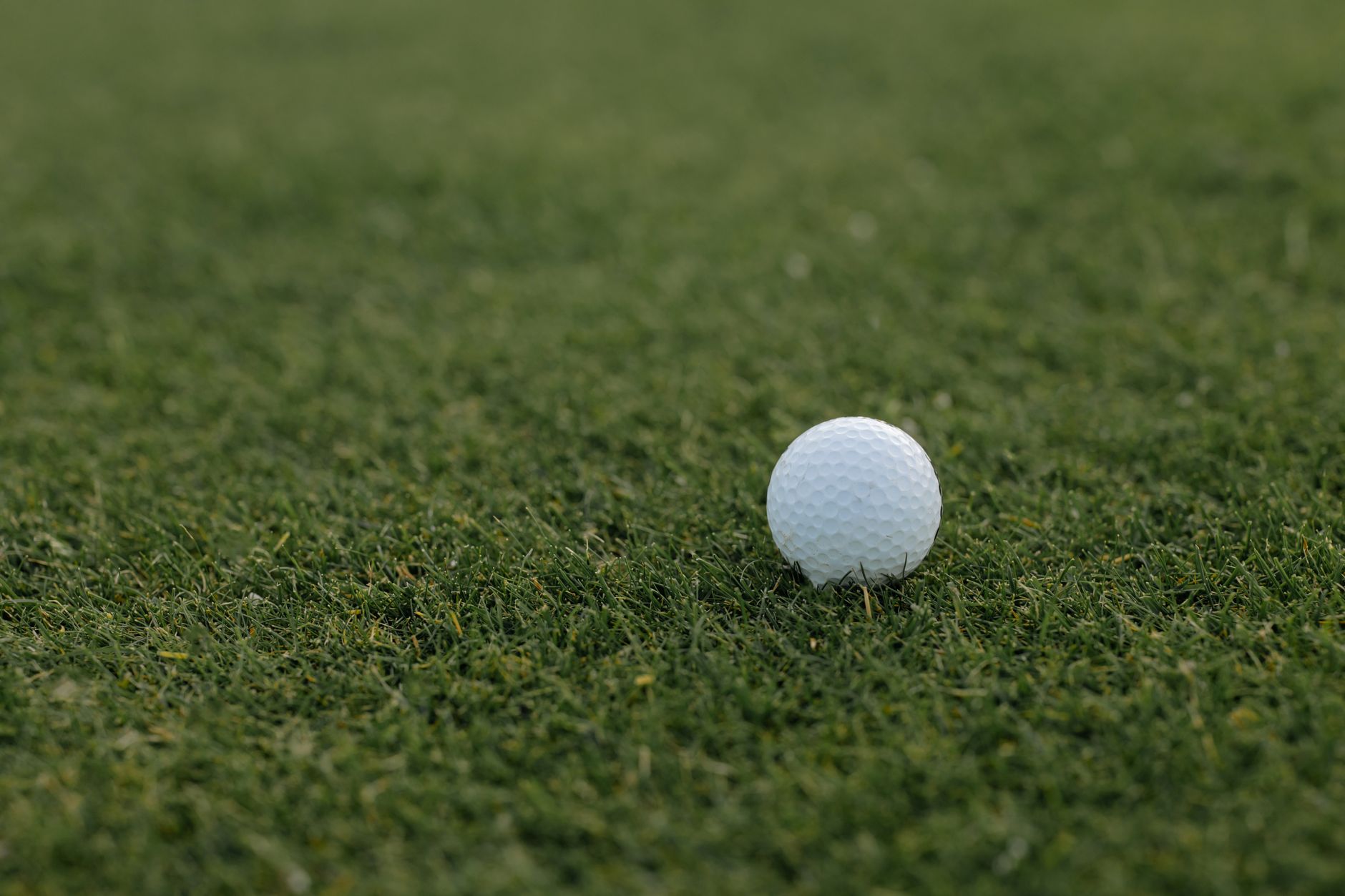 A solitary golf ball resting on lush green grass, perfect for sports enthusiasts