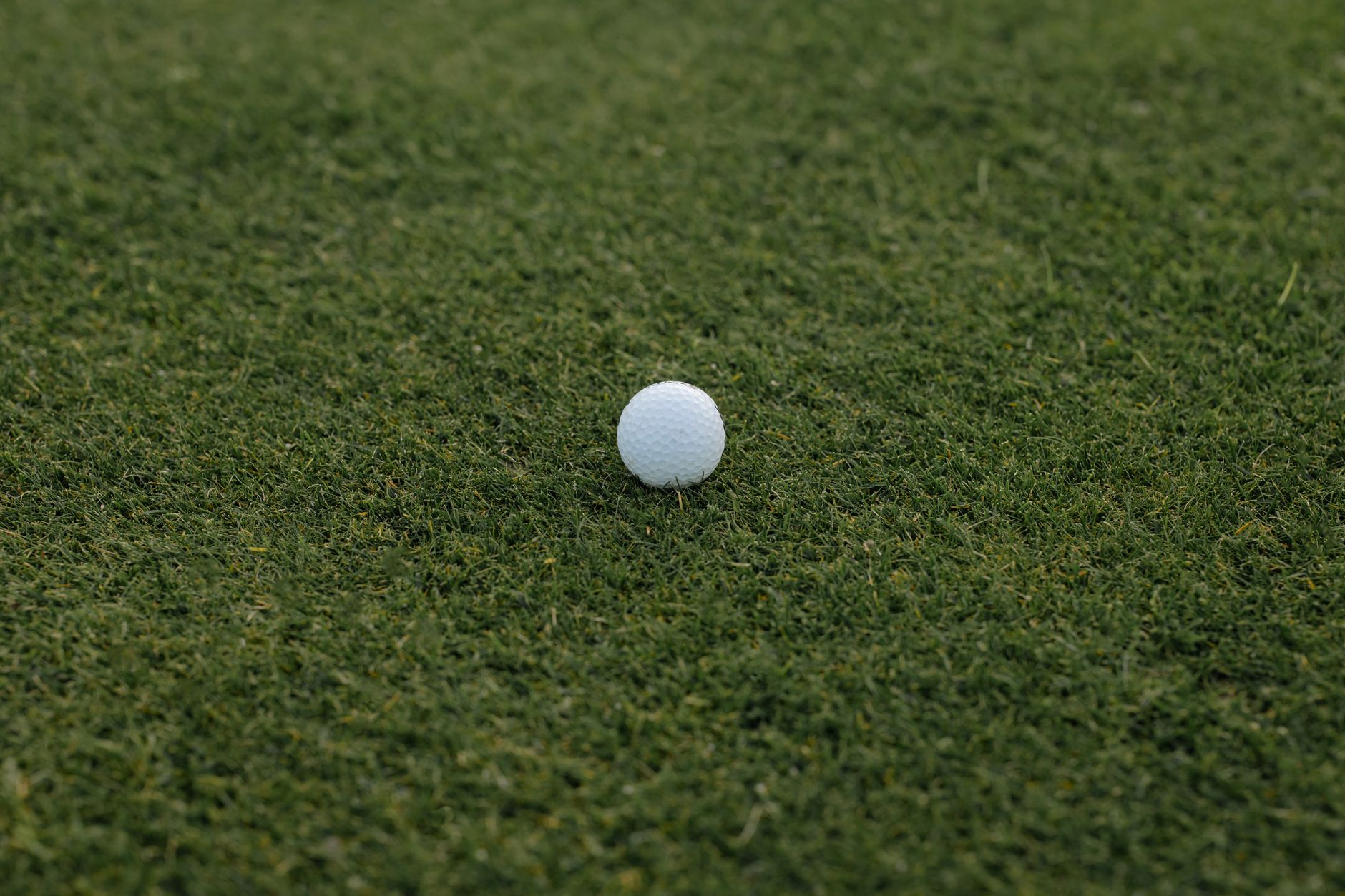 A close-up image of a white golf ball resting on green grass, perfect for sports themes