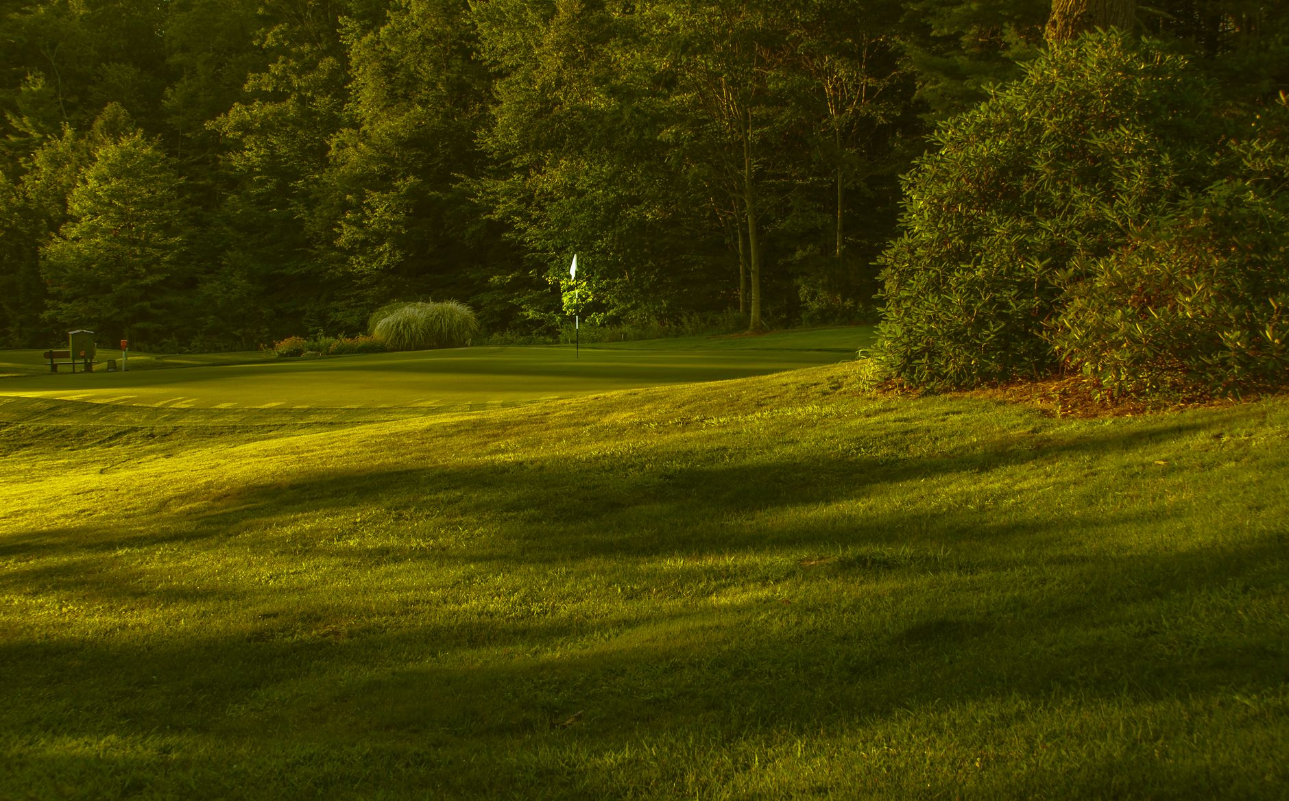 Peaceful golf course scene with vibrant greens and warm sunset lighting