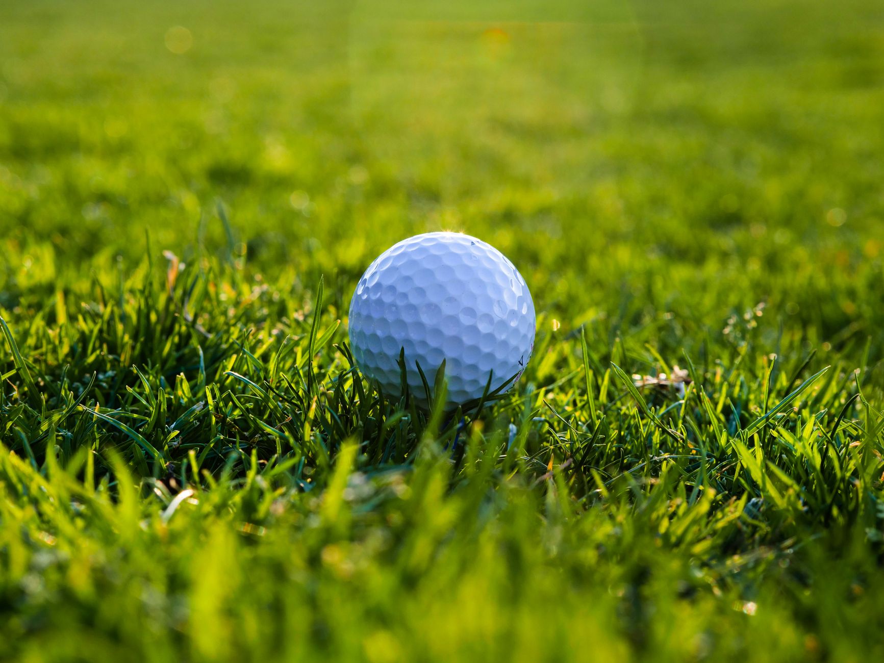 A detailed view of a golf ball resting on green grass, perfect for sports imagery
