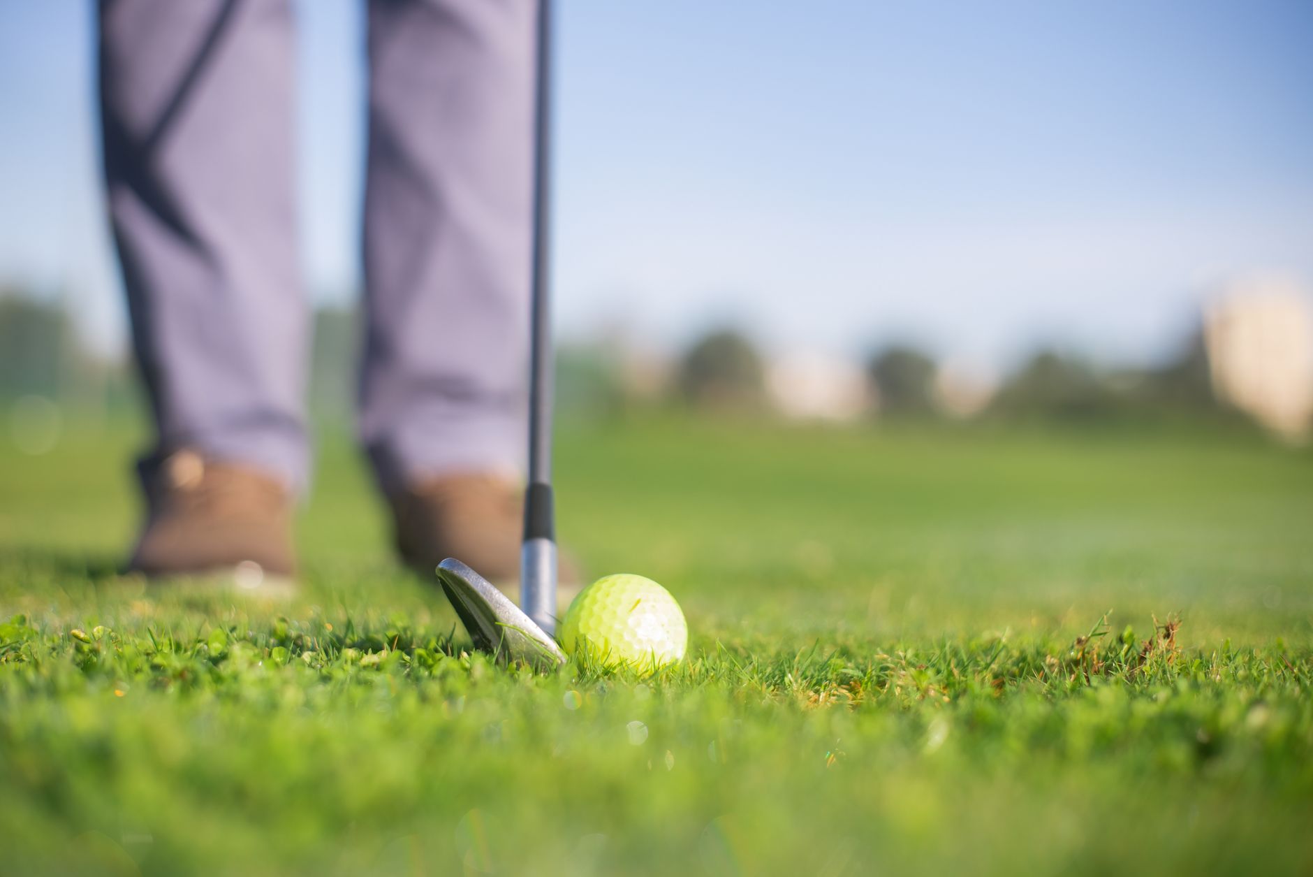 Golf ball positioned with club on lush green lawn, ready for action
