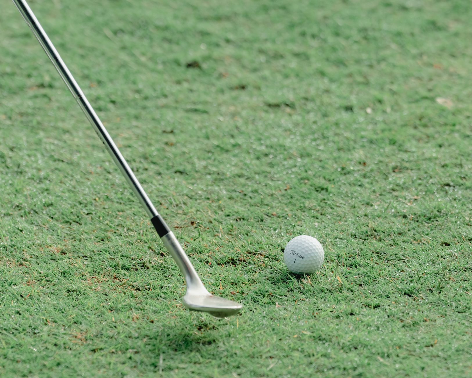 Golf club poised to hit a ball on well-maintained green grass, capturing the essence of the sport