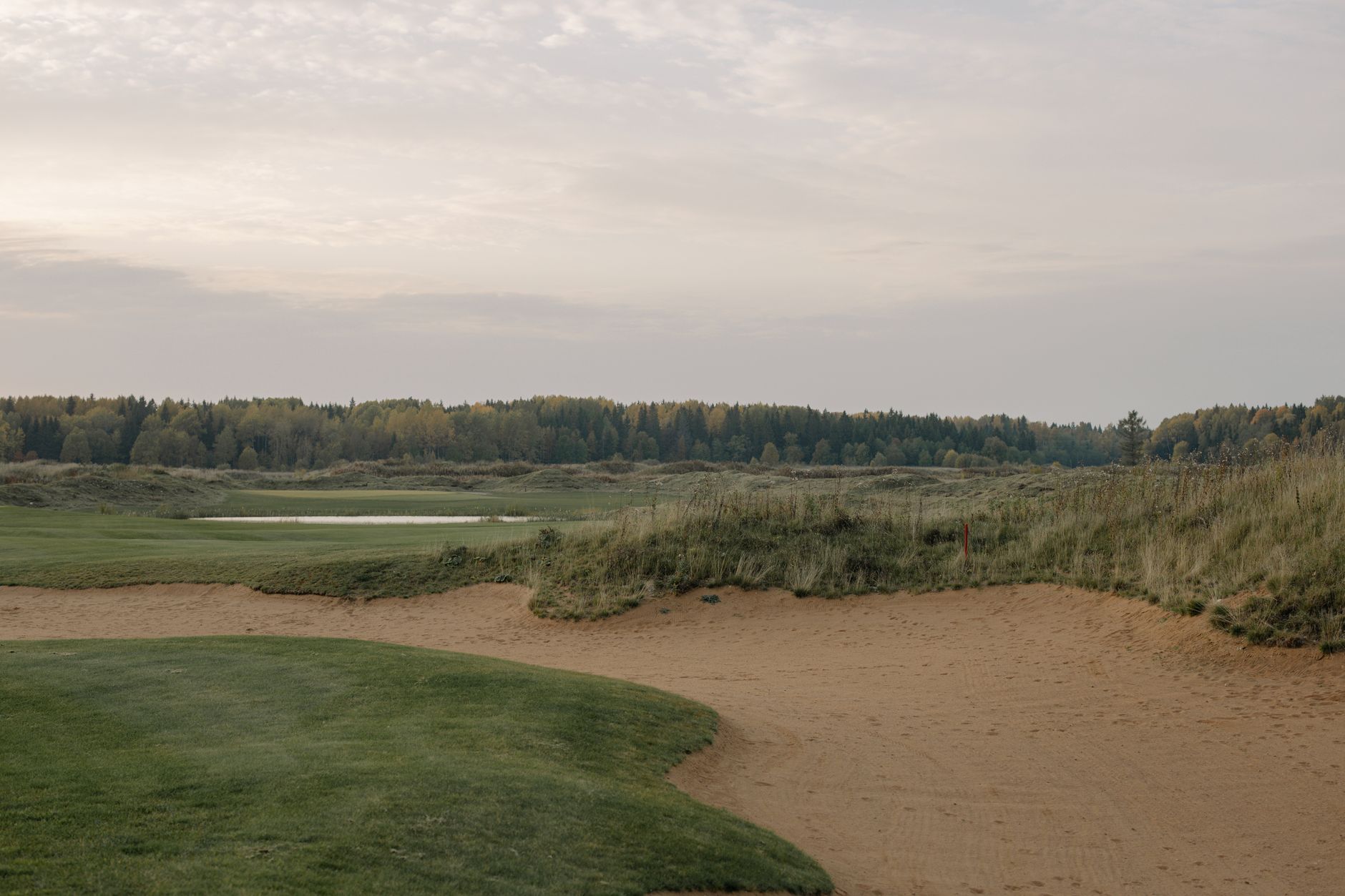 Peaceful landscape of a golf course with sand trap and distant forest at dawn