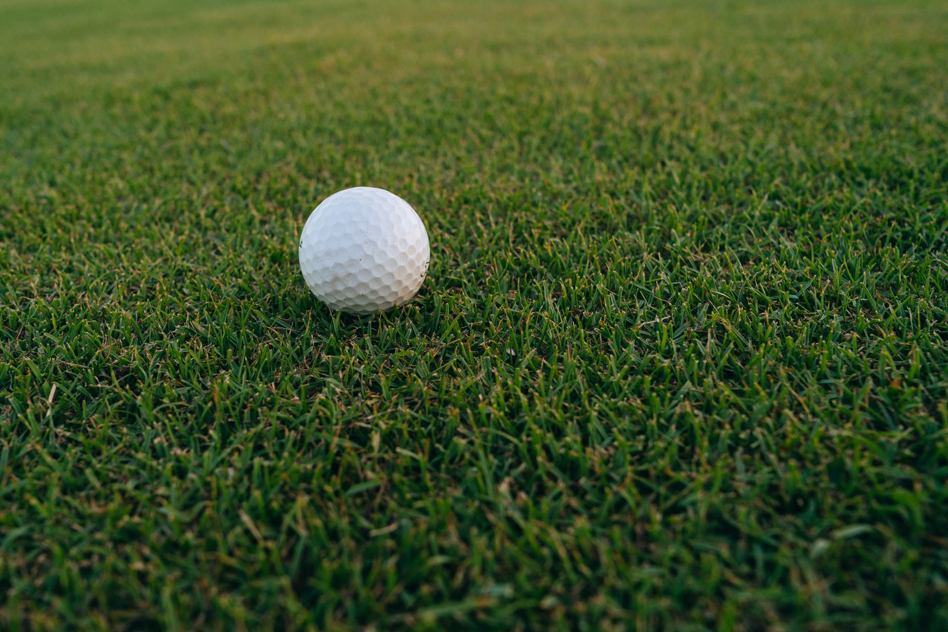 A close-up image of a golf ball resting on vibrant green grass, perfect for sports and recreation themes