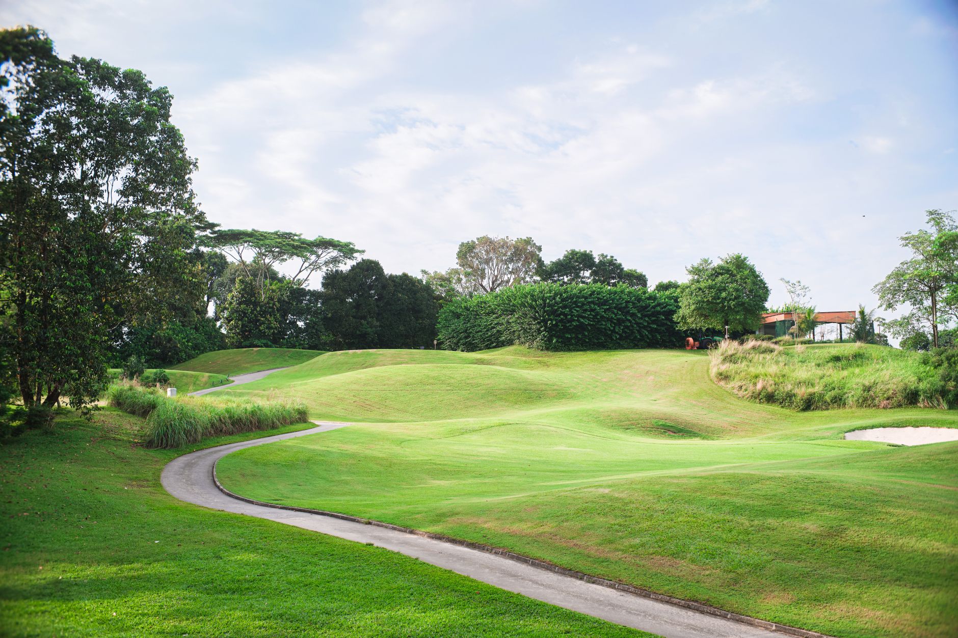 Scenic view of a vibrant golf course with manicured lawns, trees, and a clear blue sky
