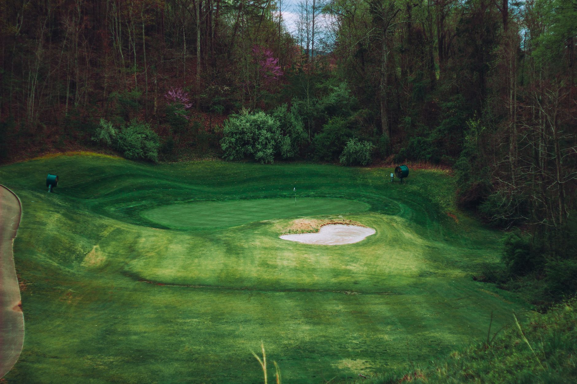 A serene golf course surrounded by lush forest, featuring a sand trap and vibrant greenery