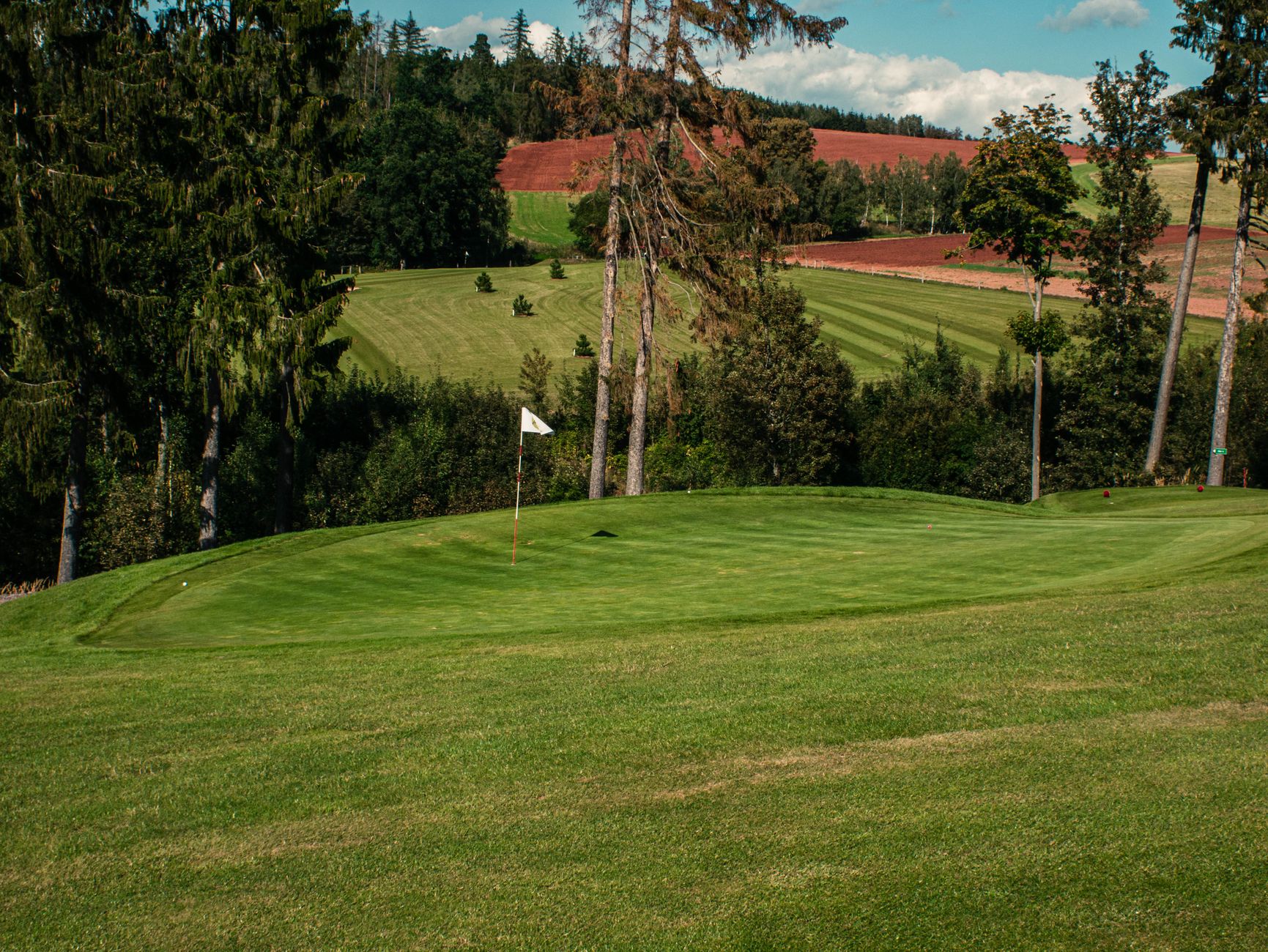 Lush green golf course surrounded by trees under a clear sky, ideal for sports enthusiasts