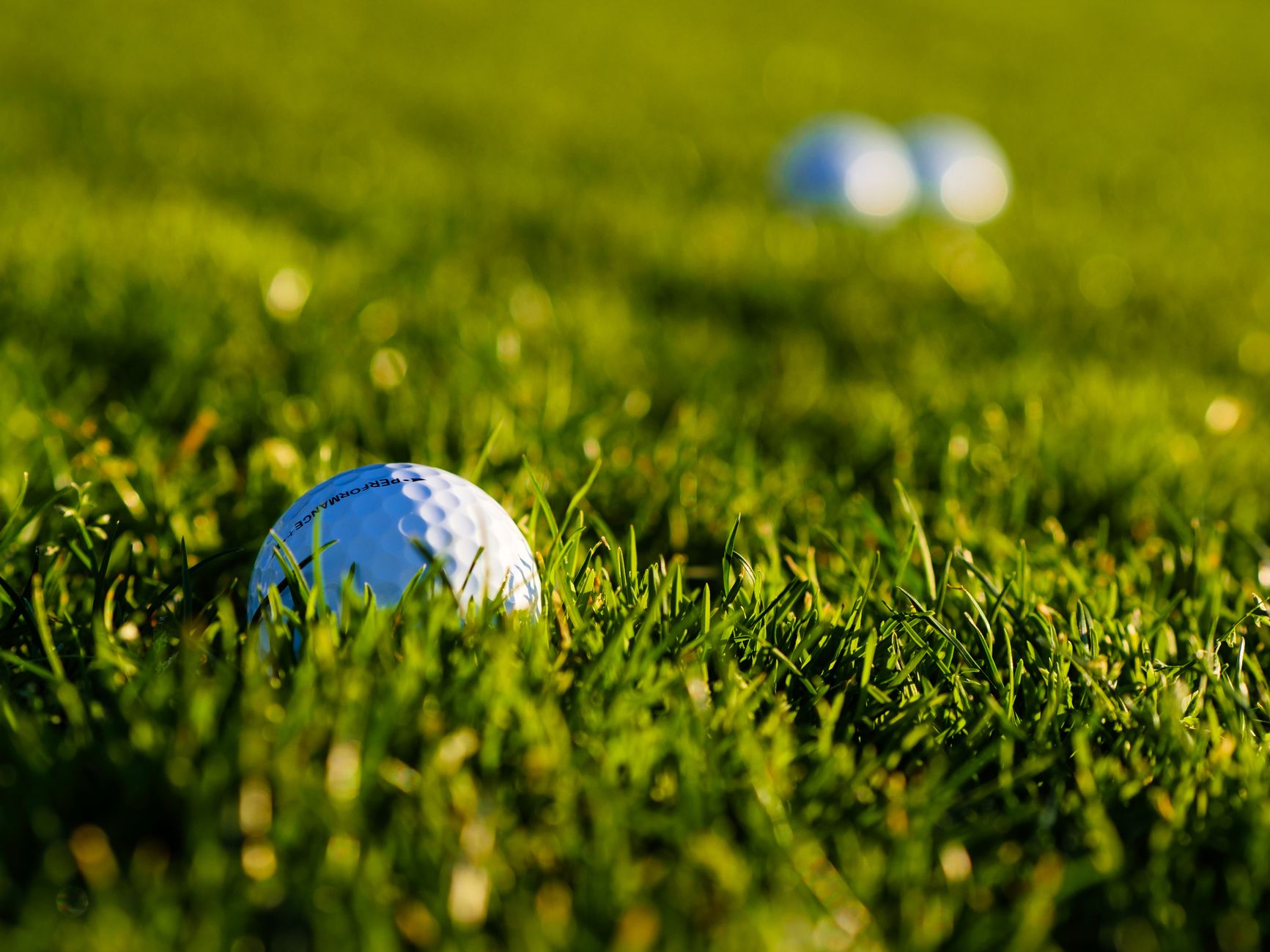 A detailed view of a golf ball resting on vibrant green grass, perfect for sports themes