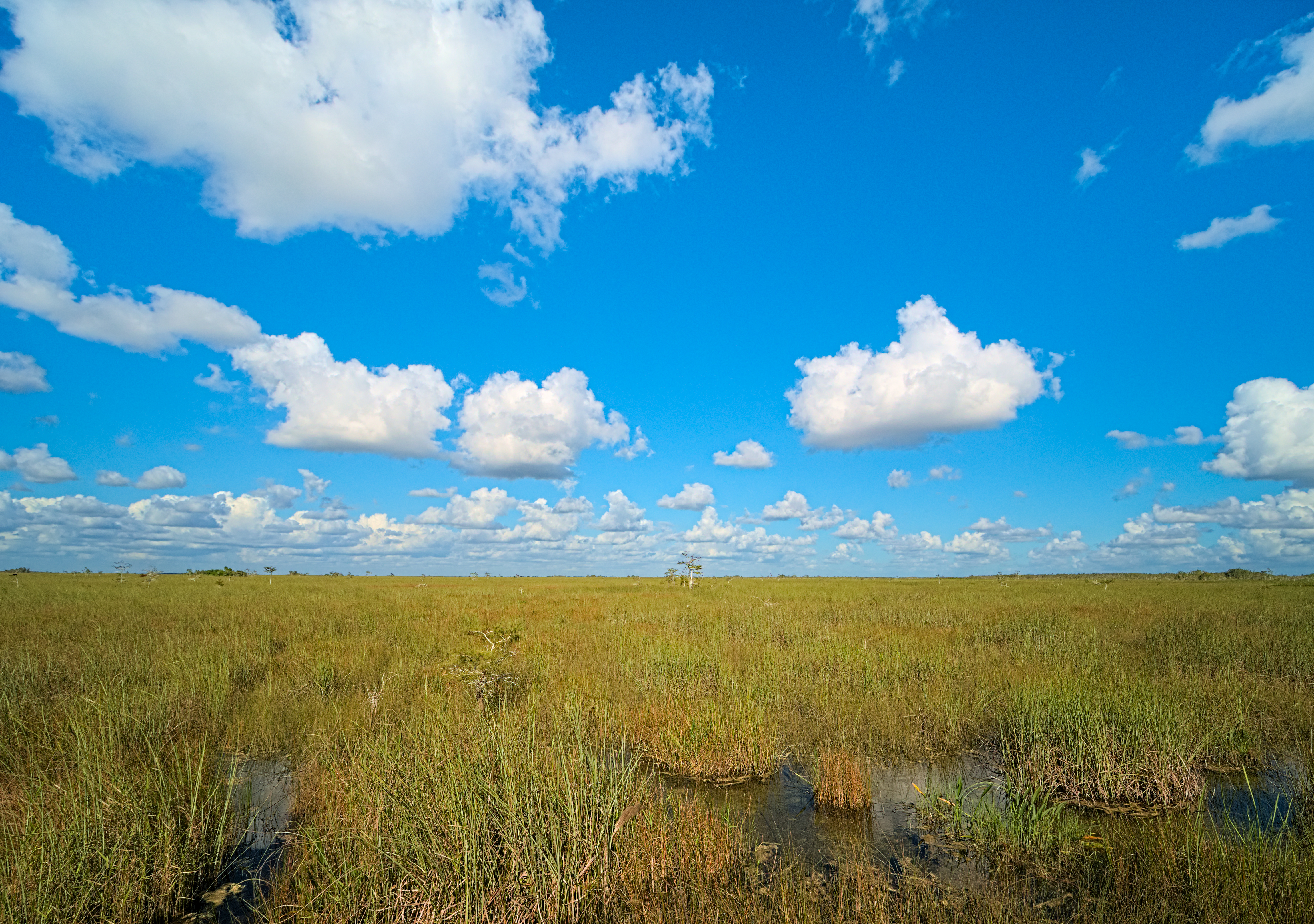Material handling glades - Glades, FL
