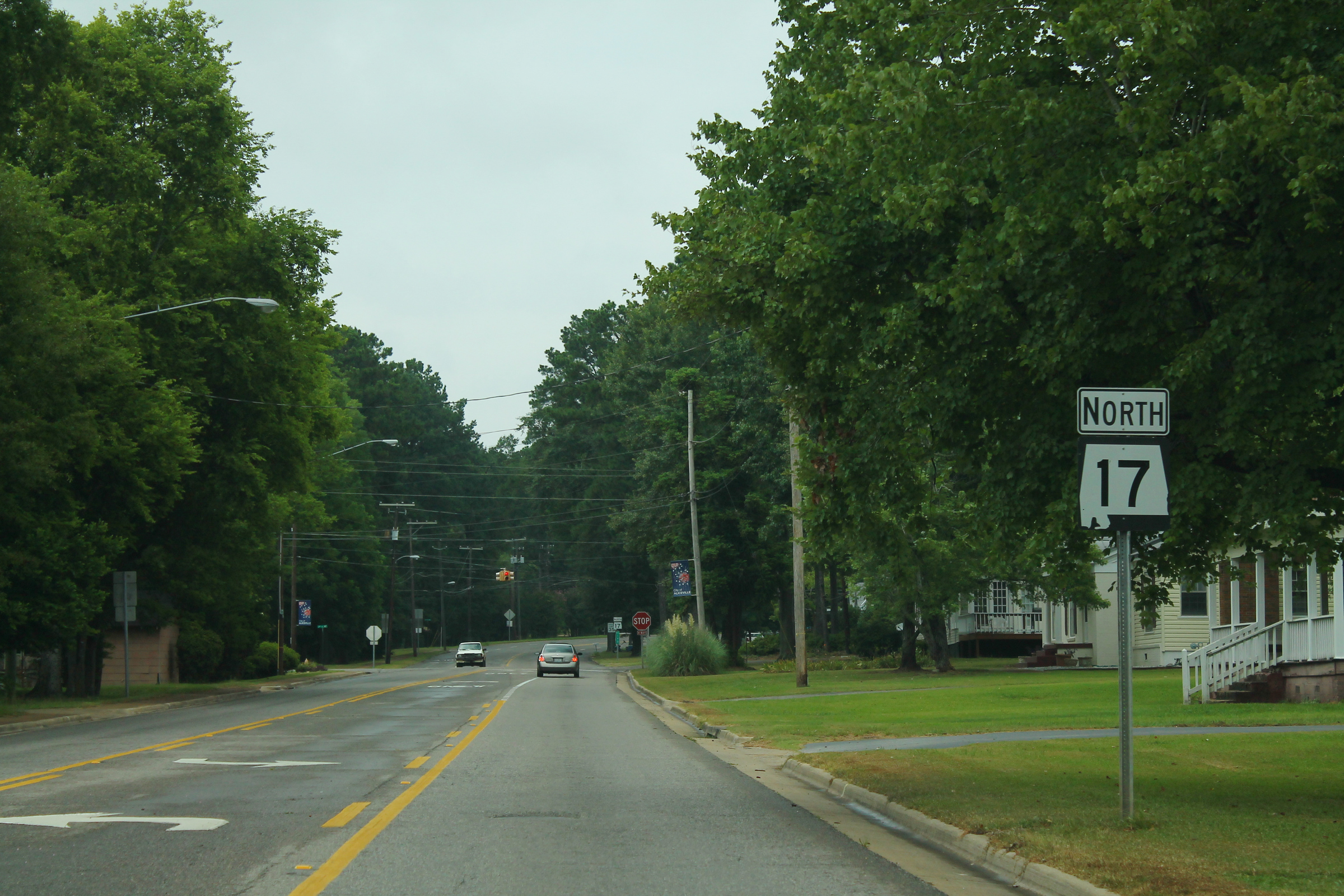 Commercial robots aliceville - Aliceville, AL