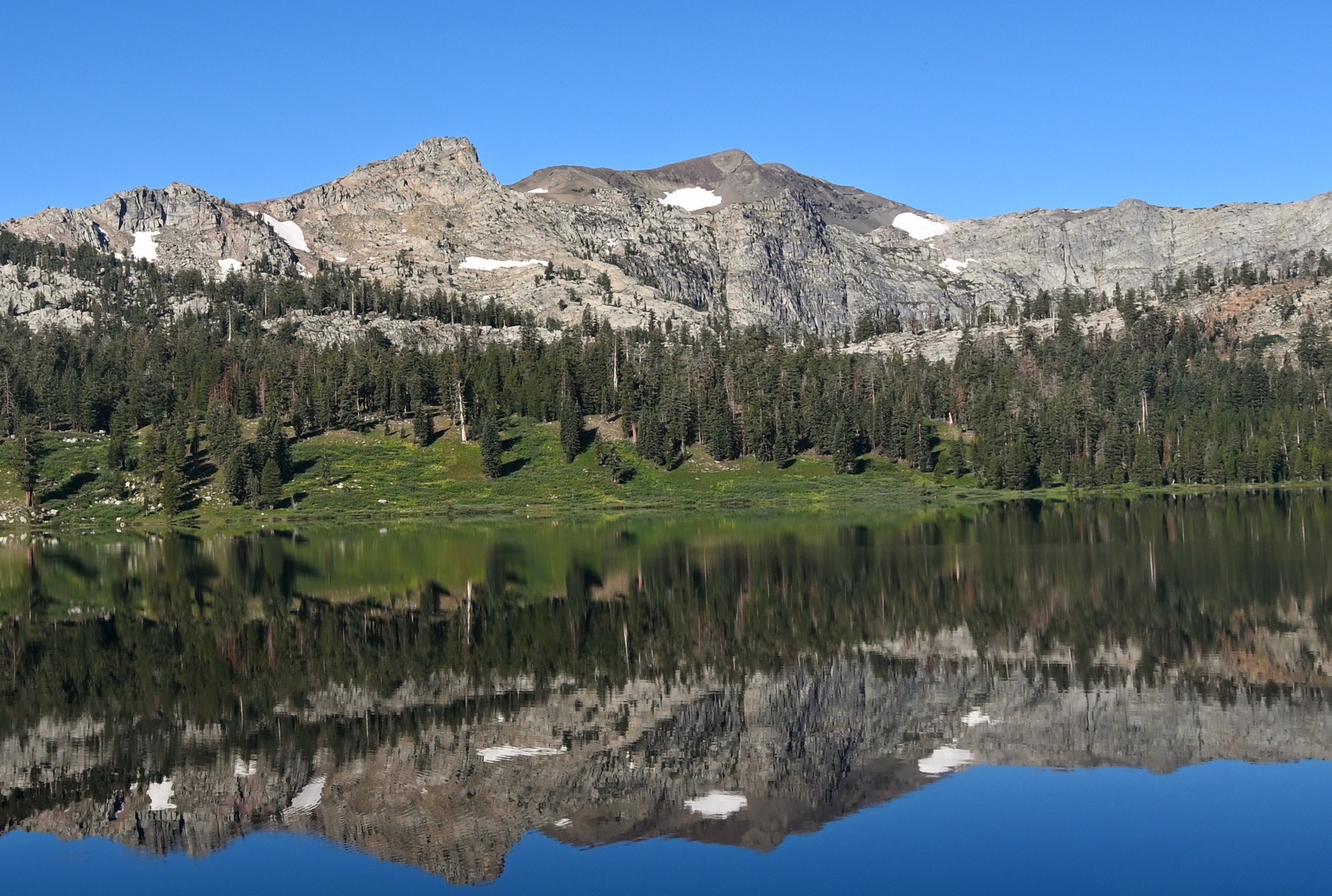 Commercial robots alpine county - Alpine County, CA