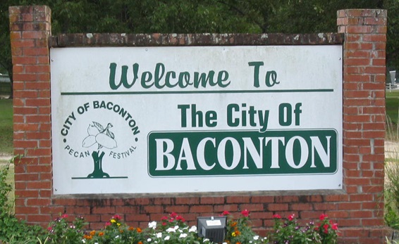 Commercial robots baconton - Baconton, GA