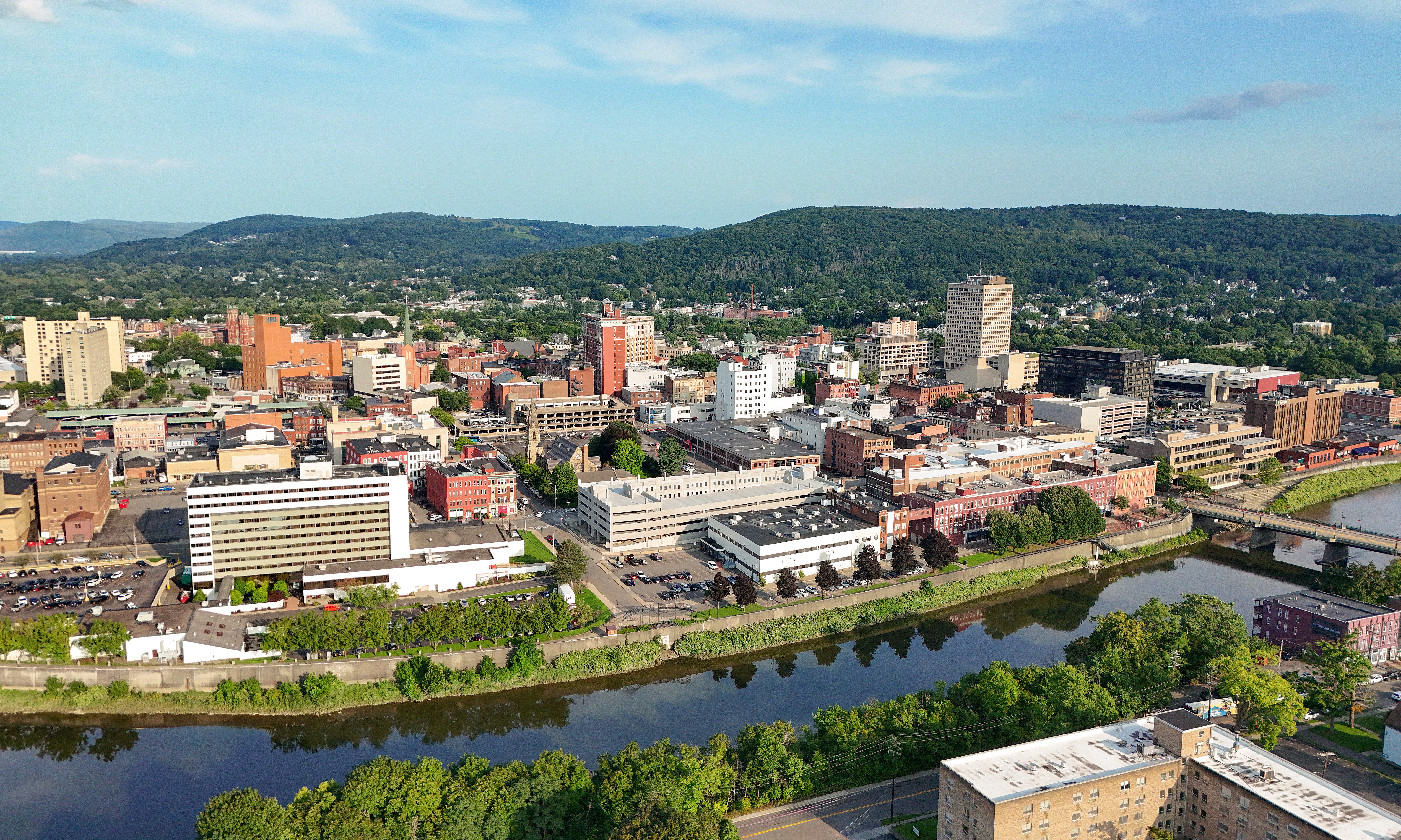Commercial robots binghamton - Binghamton, NY