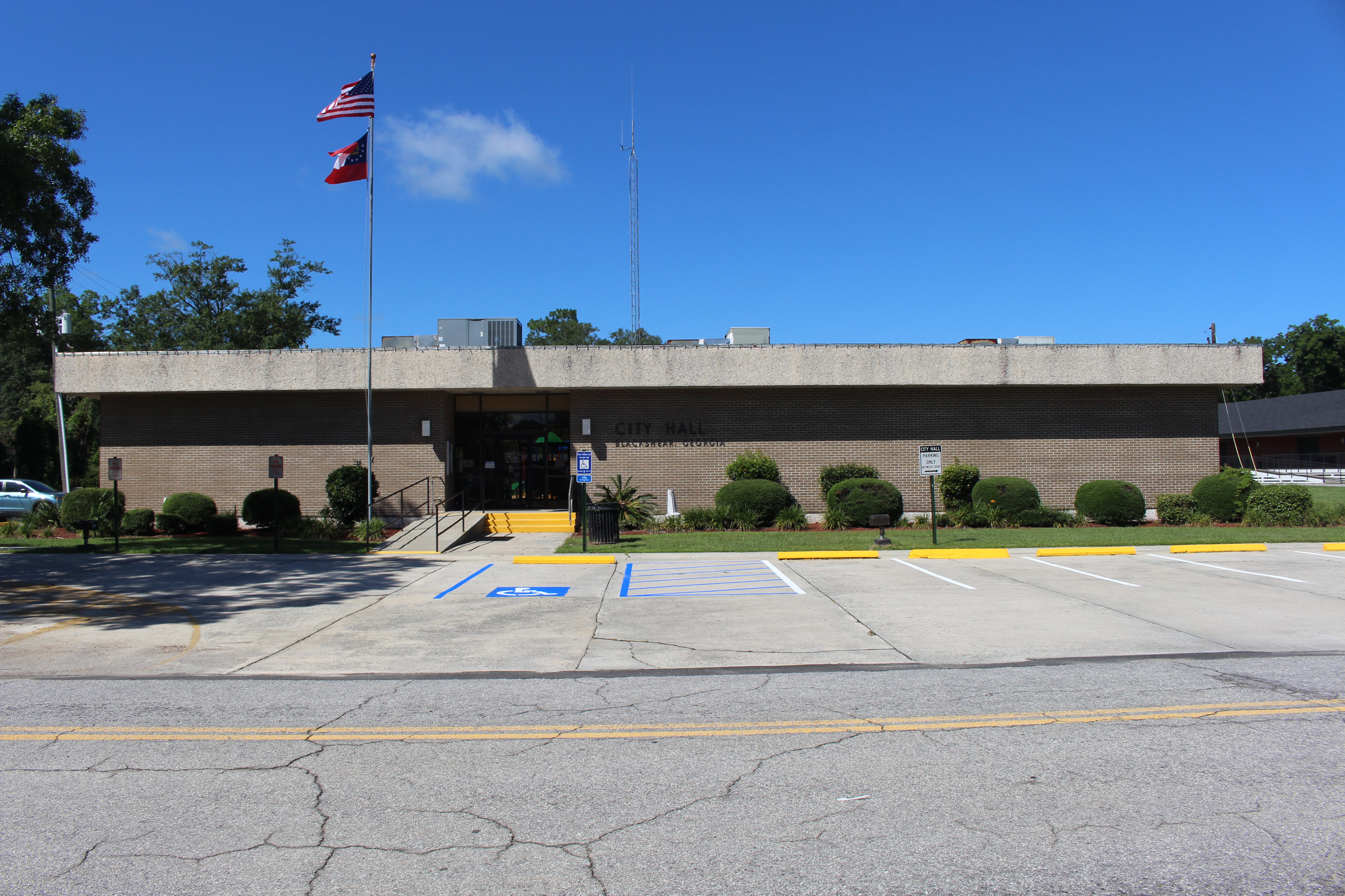 Commercial robots blackshear - Blackshear, GA