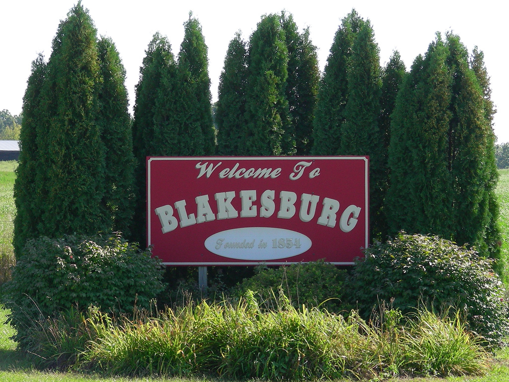Commercial robots blakesburg - Blakesburg, IA