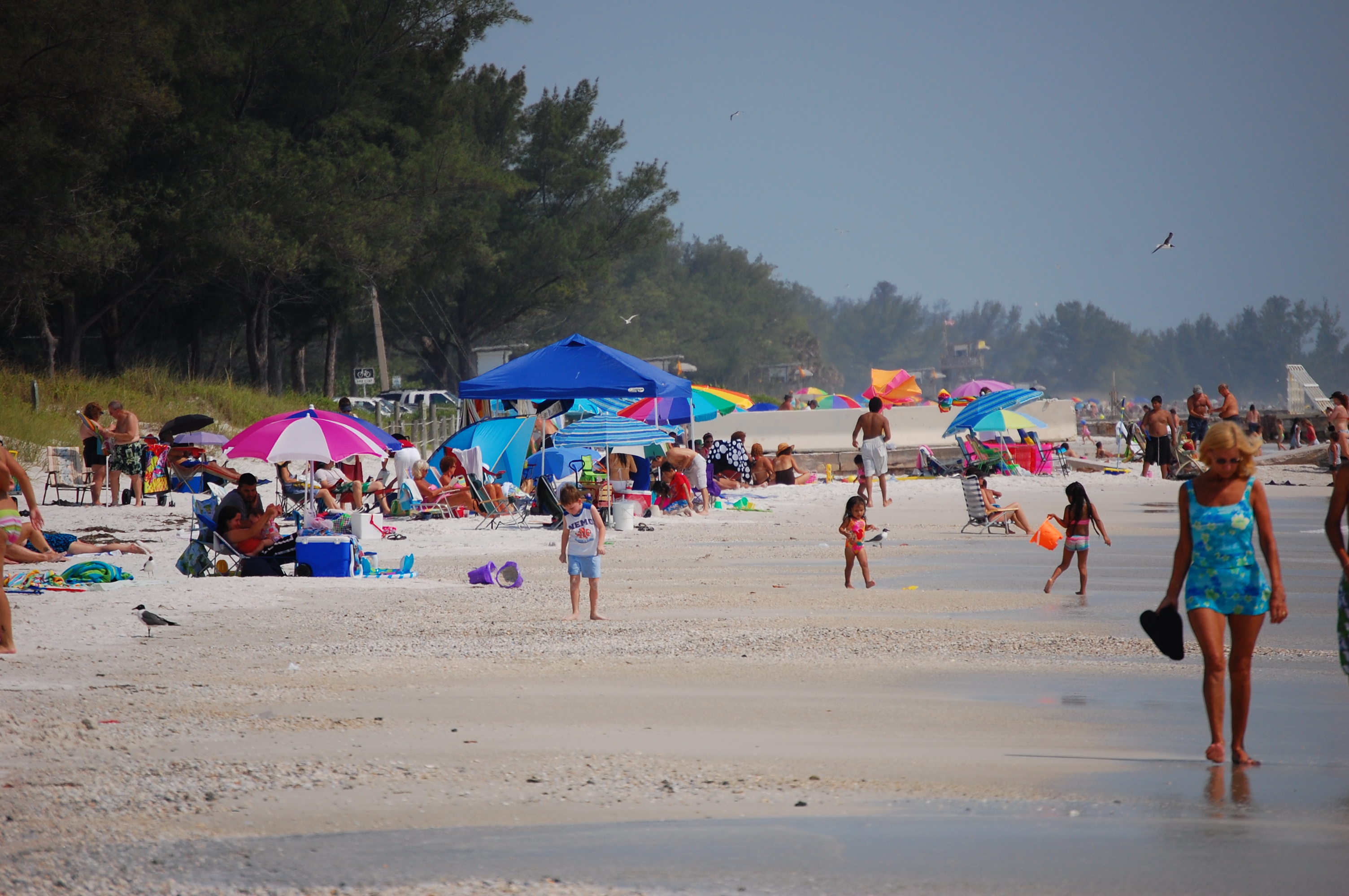 Commercial robots bradenton beach - Bradenton Beach, FL