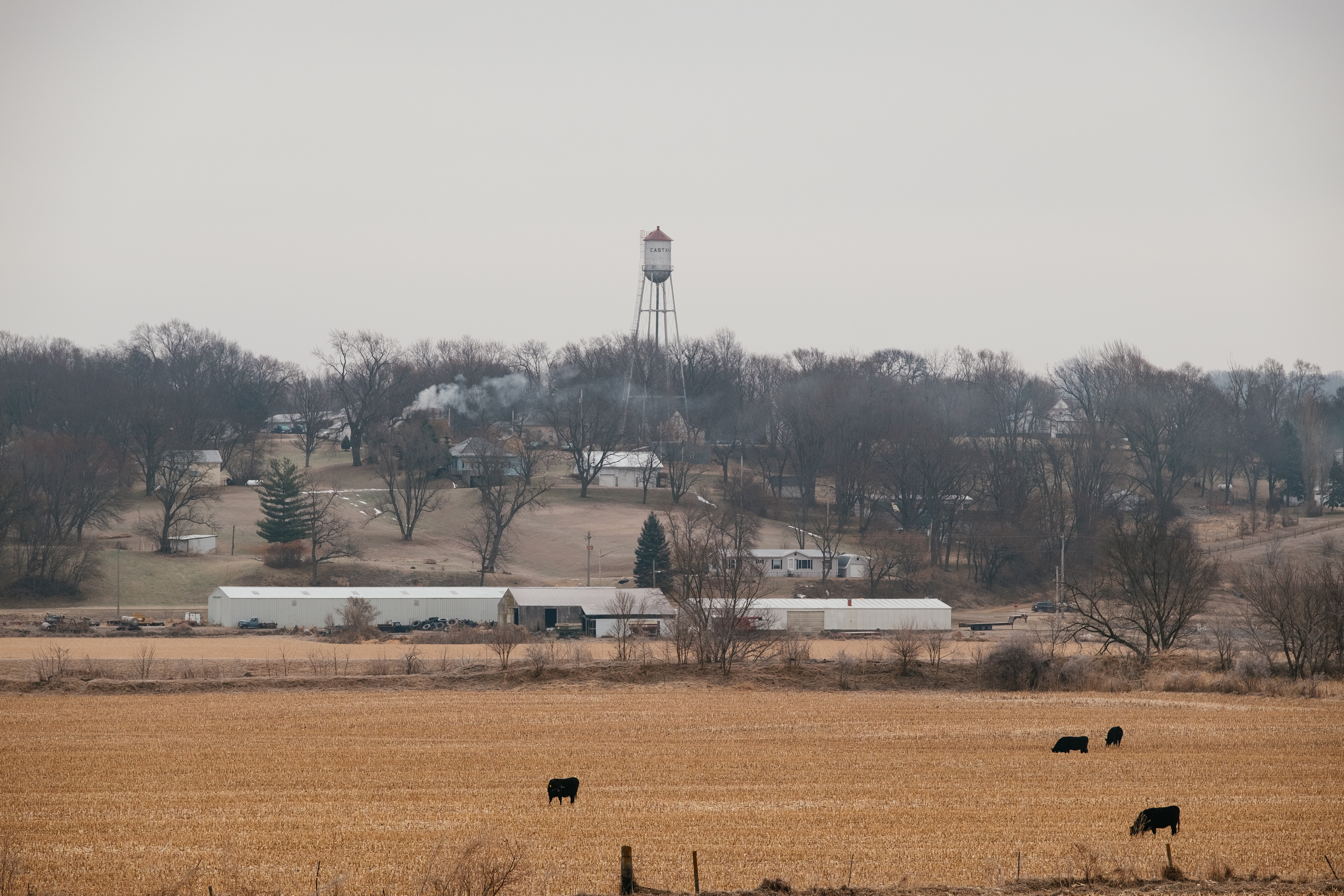 Commercial robots castana - Castana, IA