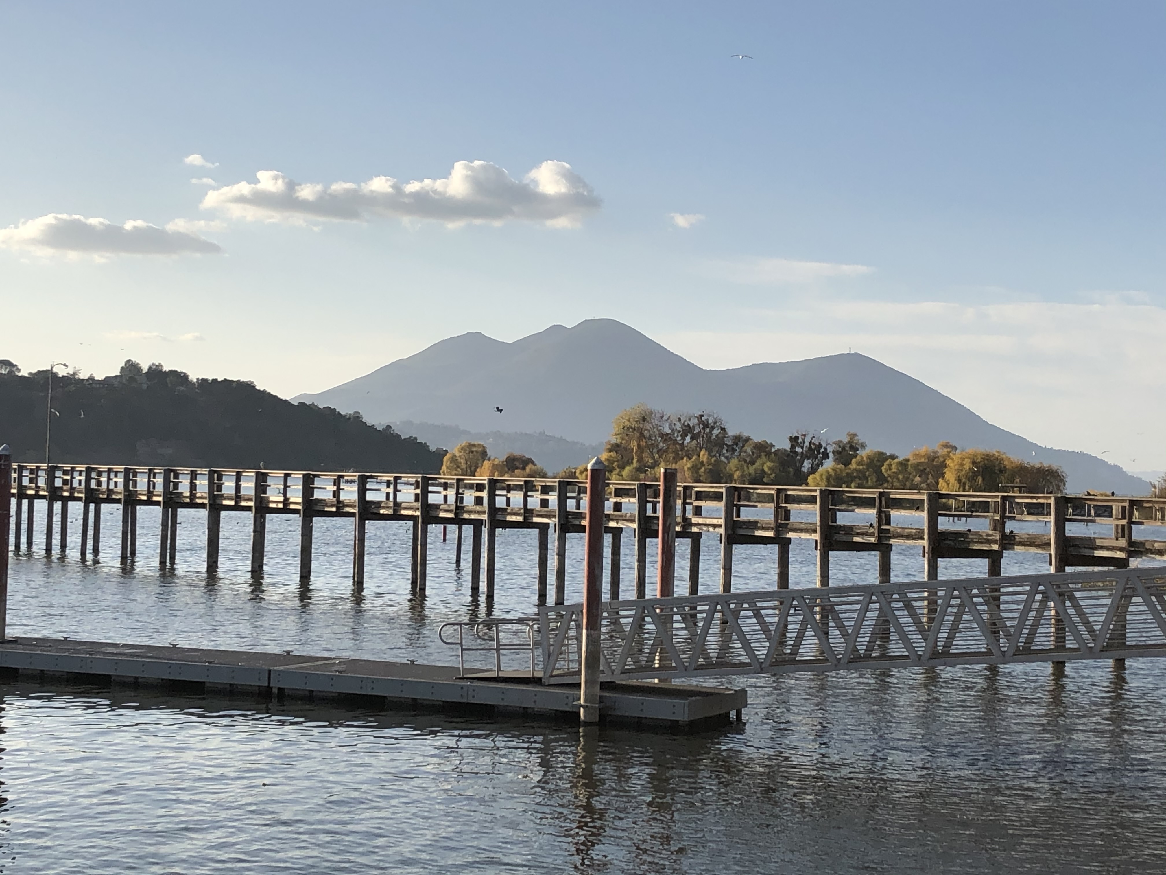 Commercial robots clearlake - Clearlake, CA