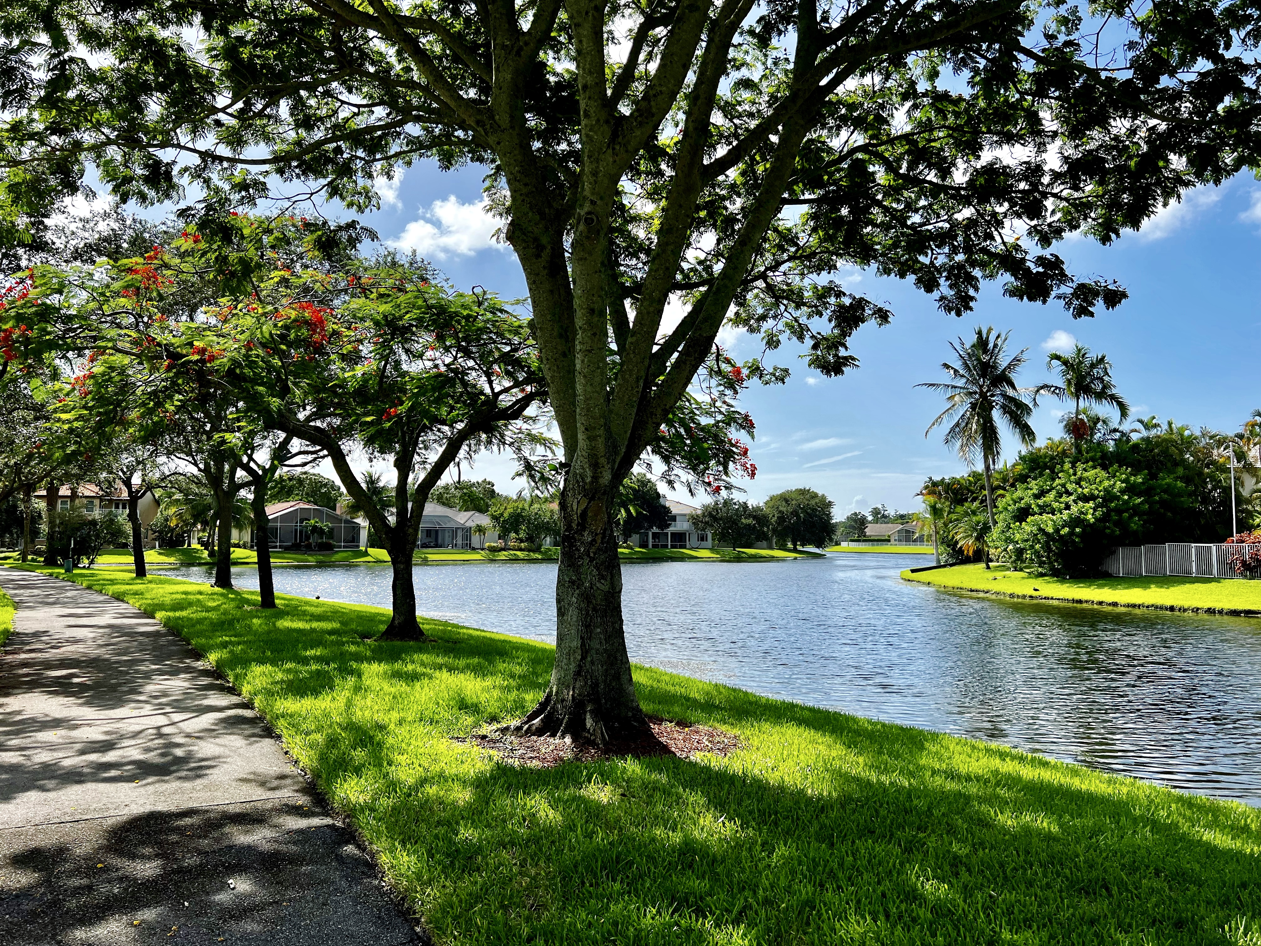 Commercial robots coconut creek - Coconut Creek, FL