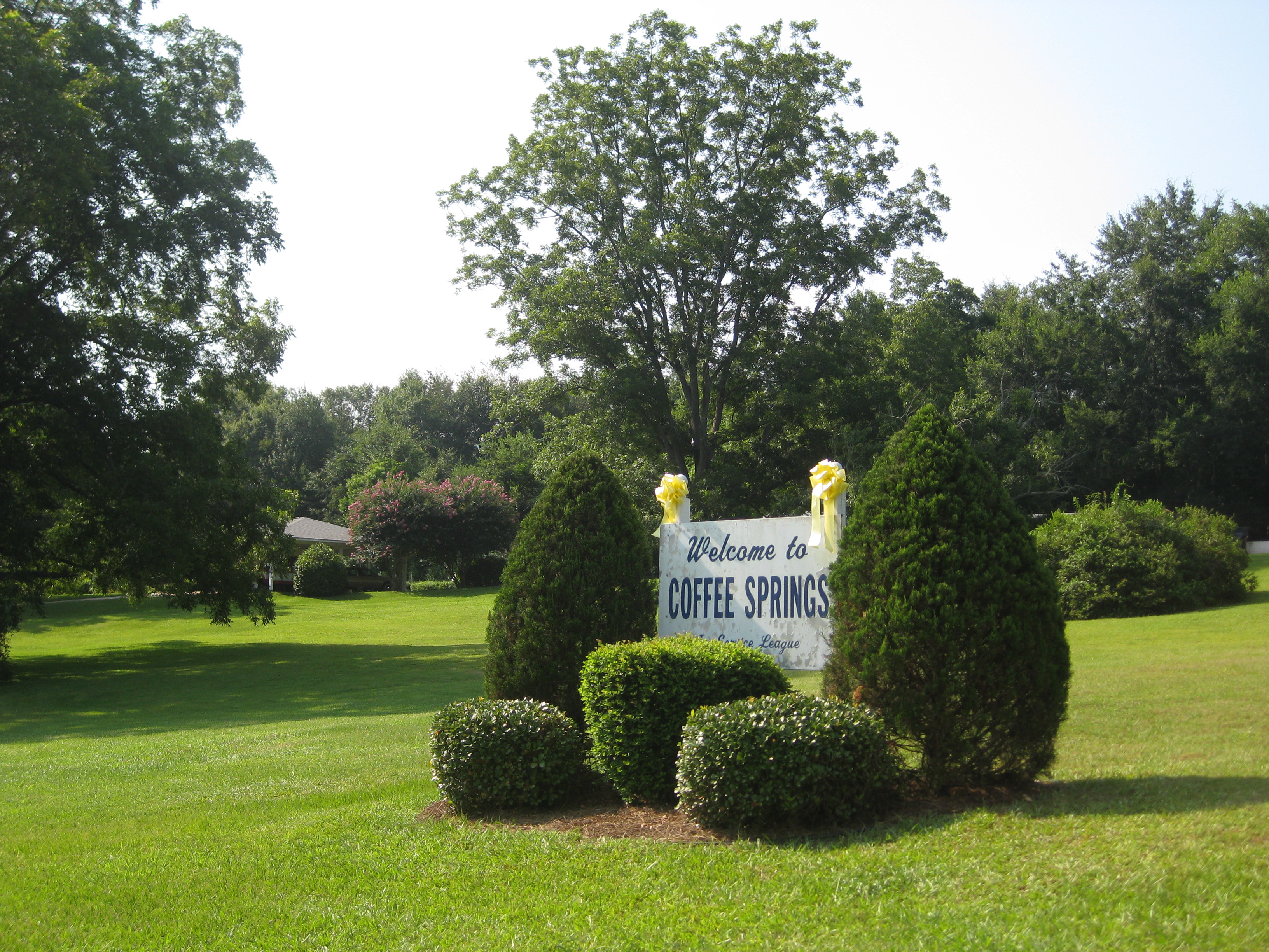 Commercial robots coffee springs - Coffee Springs, AL