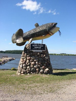 Commercial robots crystal lake - Crystal Lake, IA
