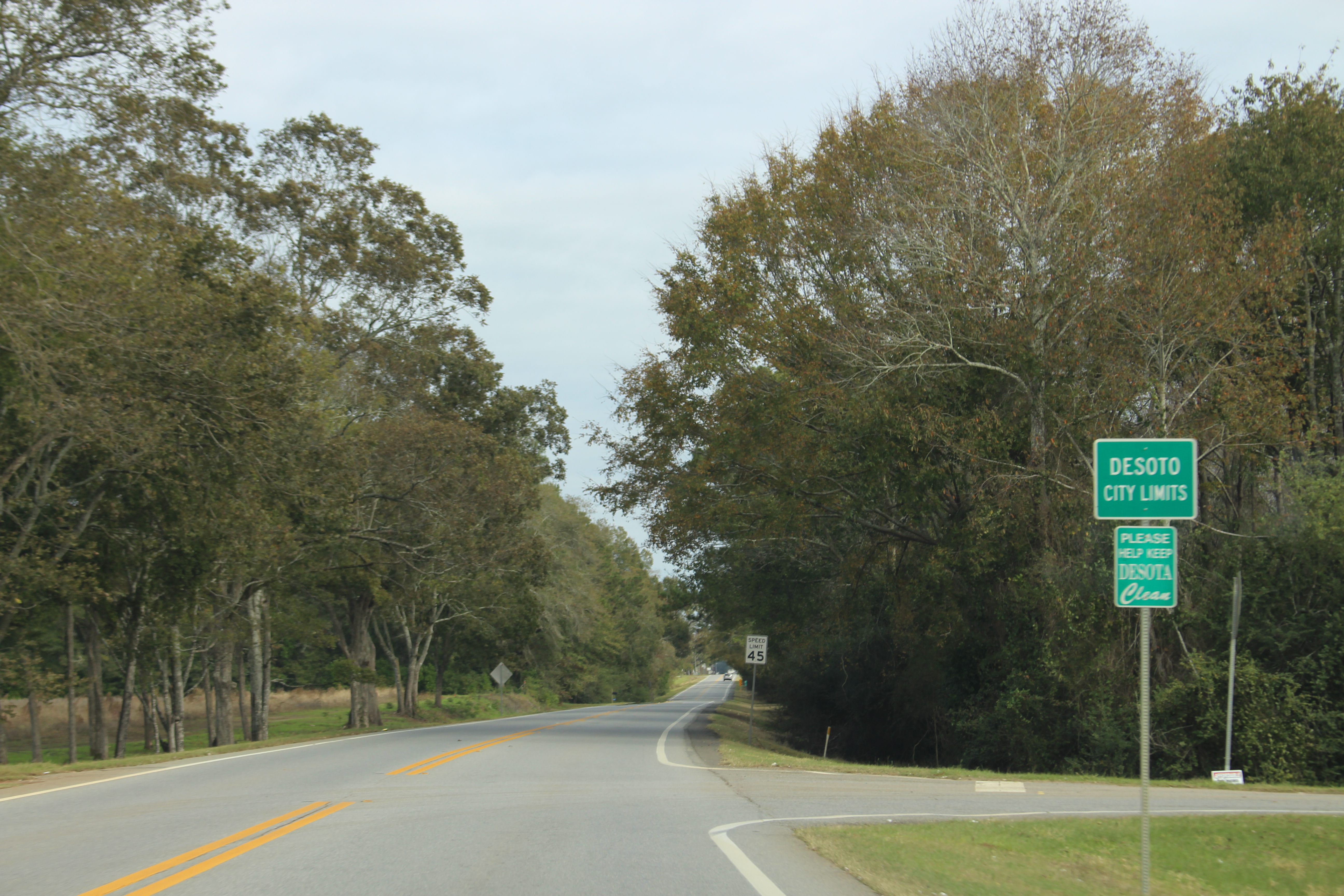 Commercial robots de soto - De Soto, GA