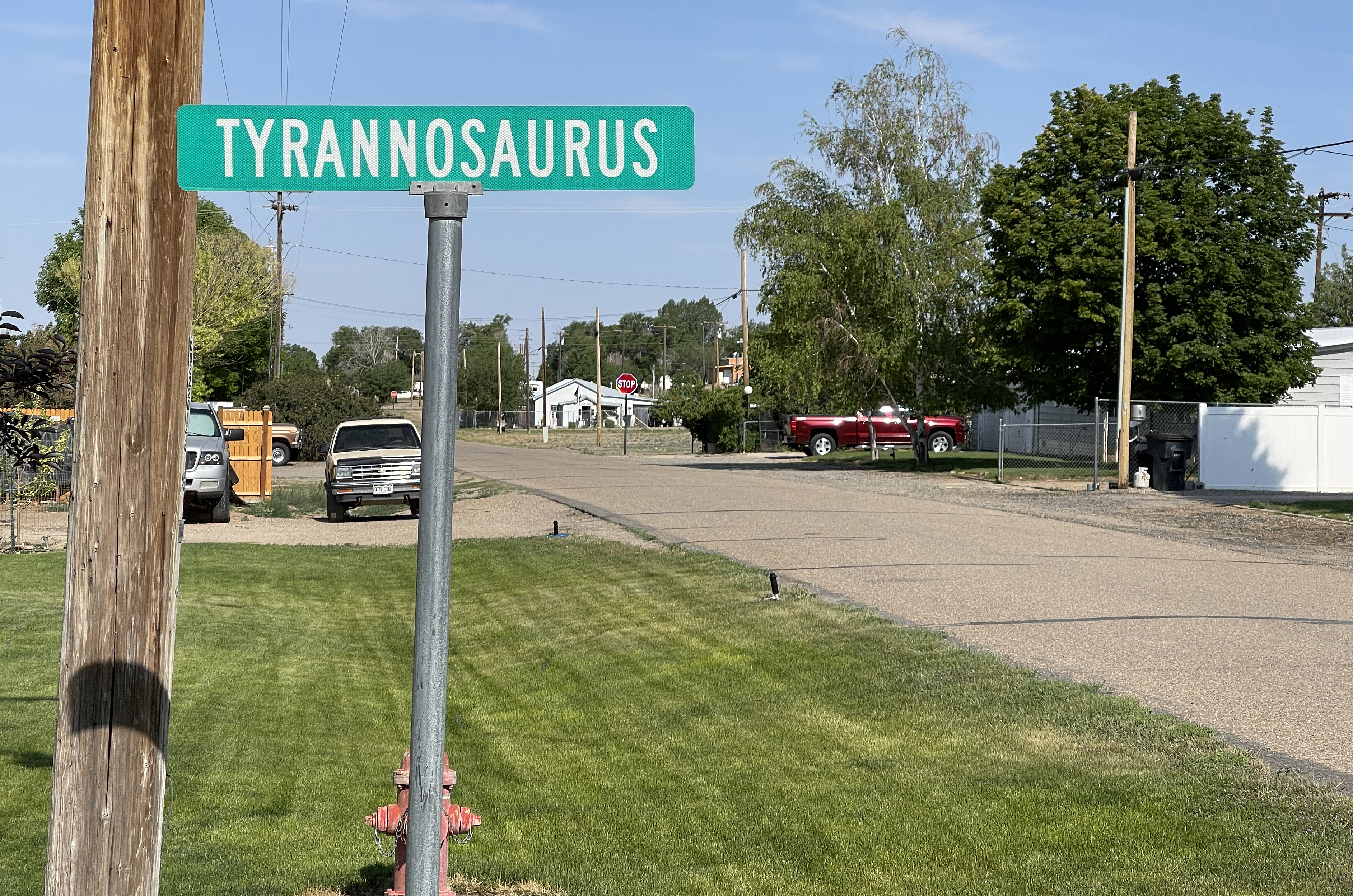 Commercial robots dinosaur - Dinosaur, CO
