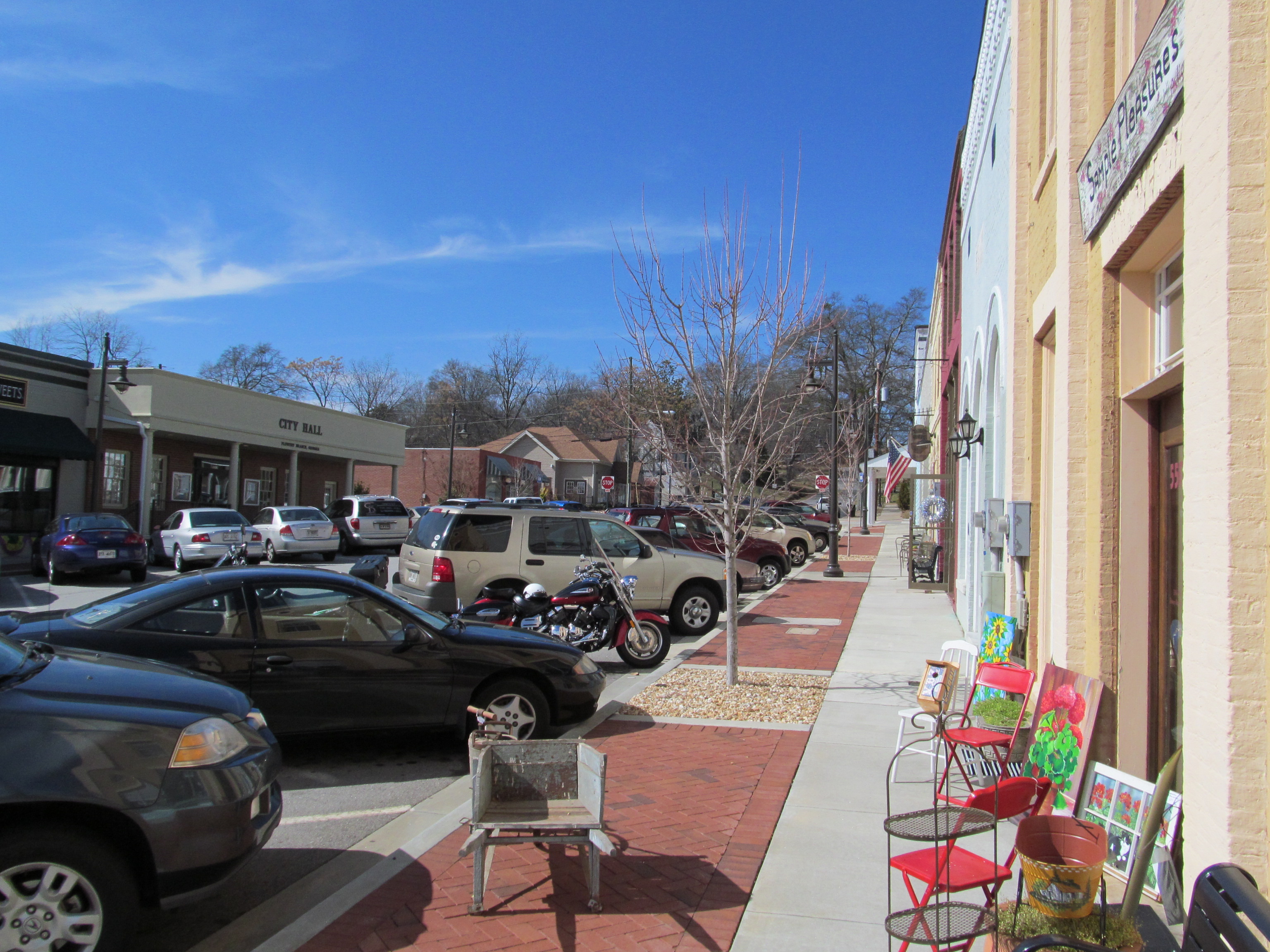 Commercial robots flowery branch - Flowery Branch, GA