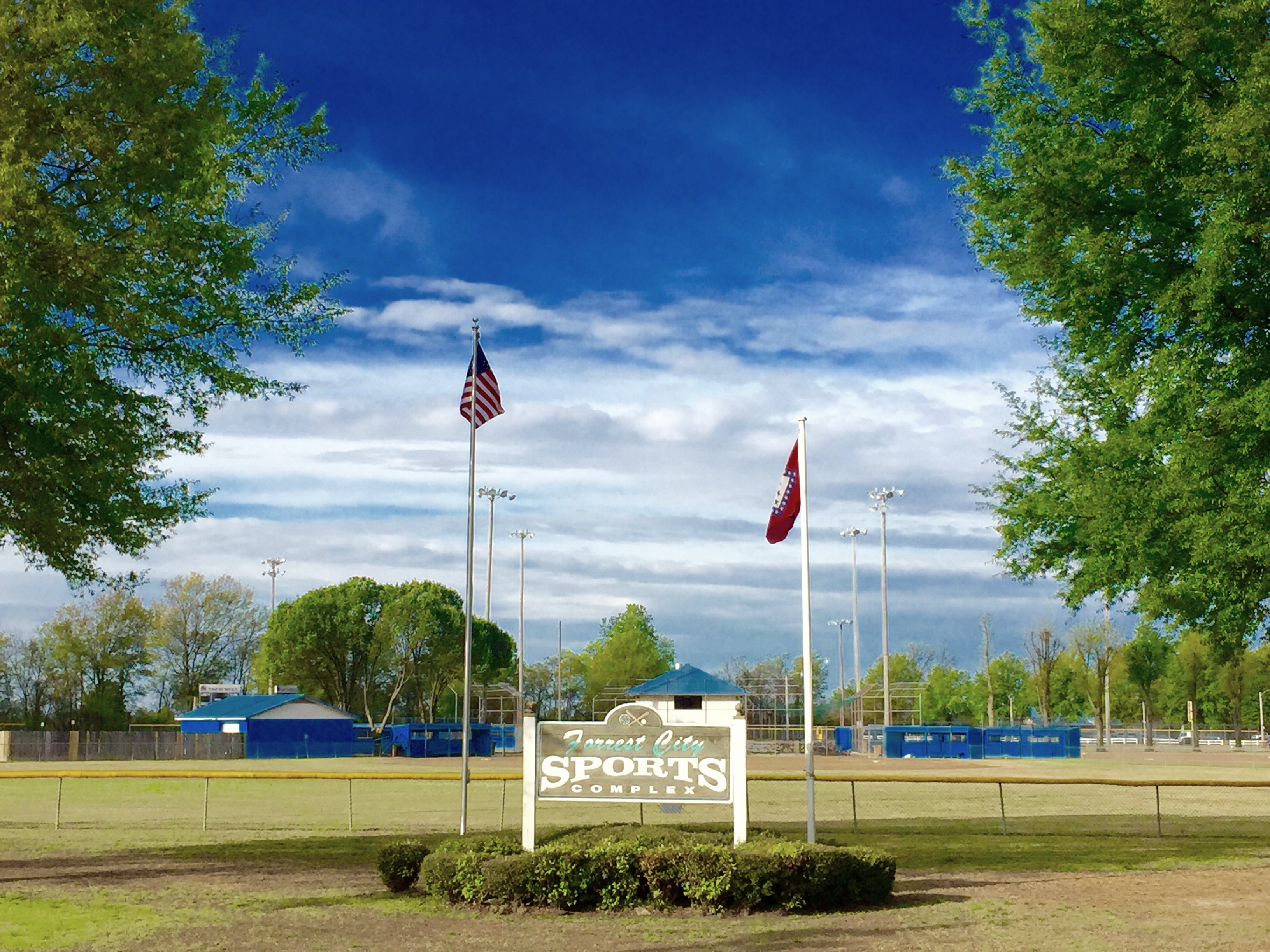 Commercial robots forrest city - Forrest City, AR