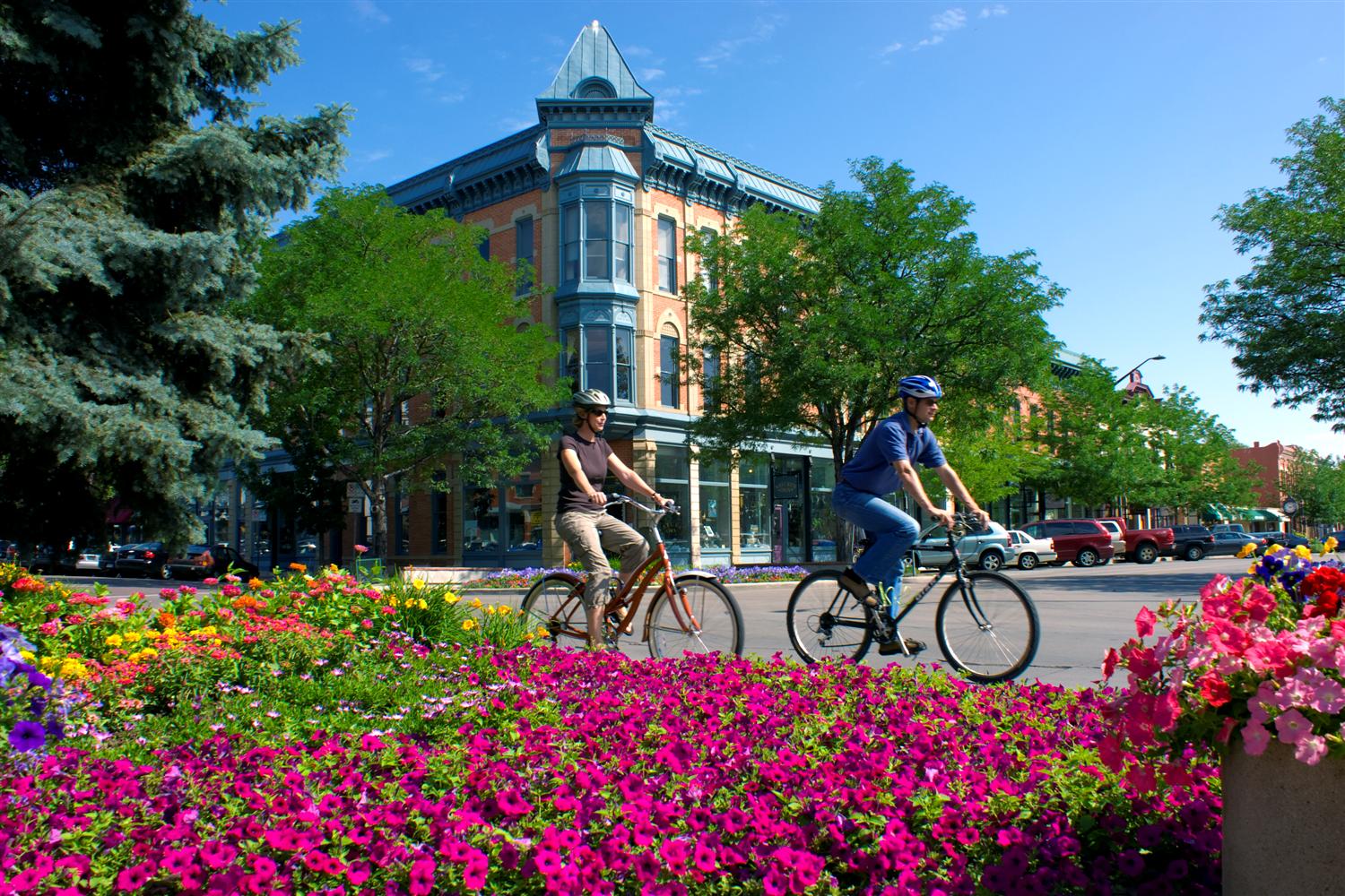 Commercial robots fort collins - Fort Collins, CO