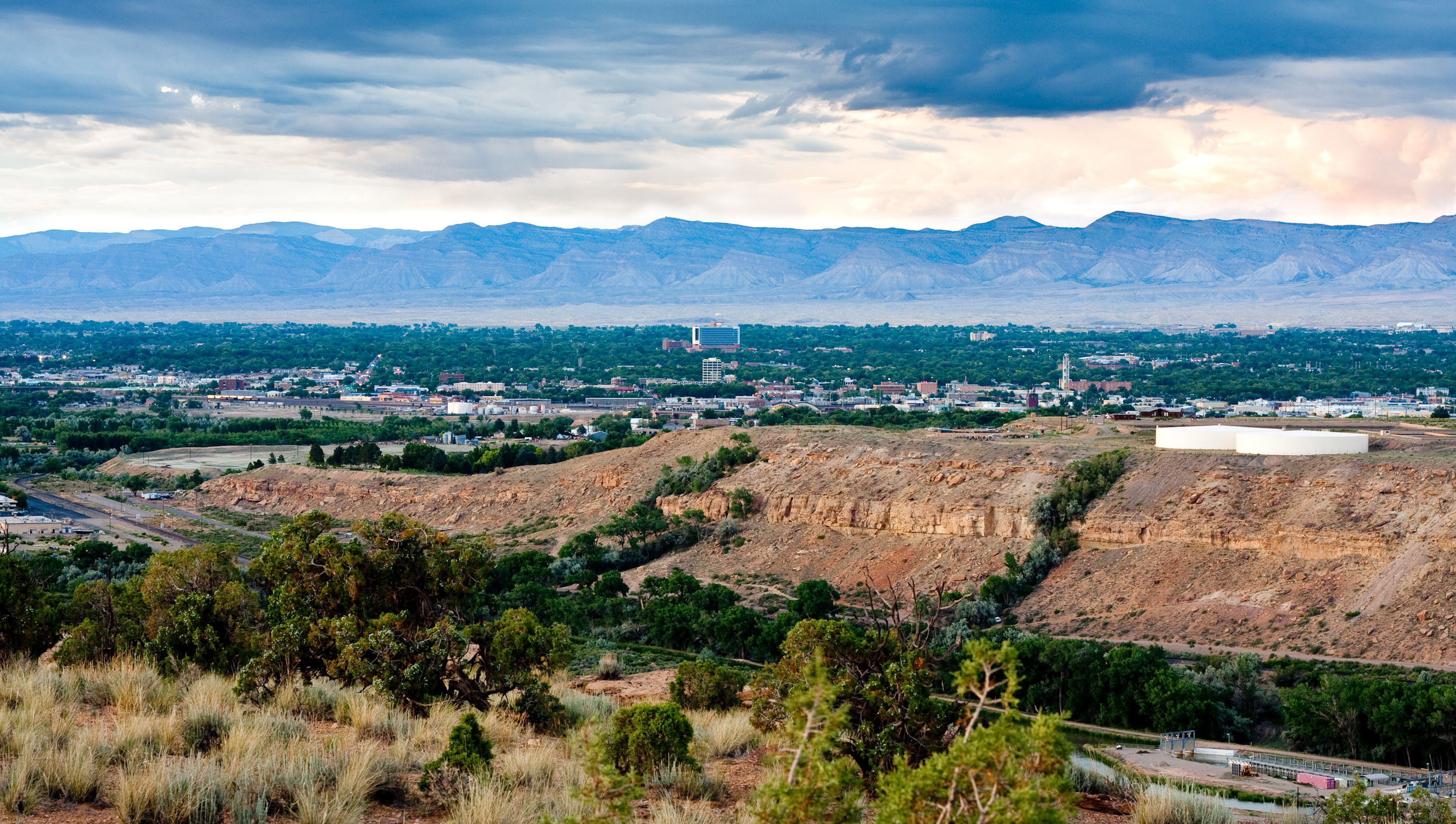 Commercial robots grand junction - Grand Junction, CO