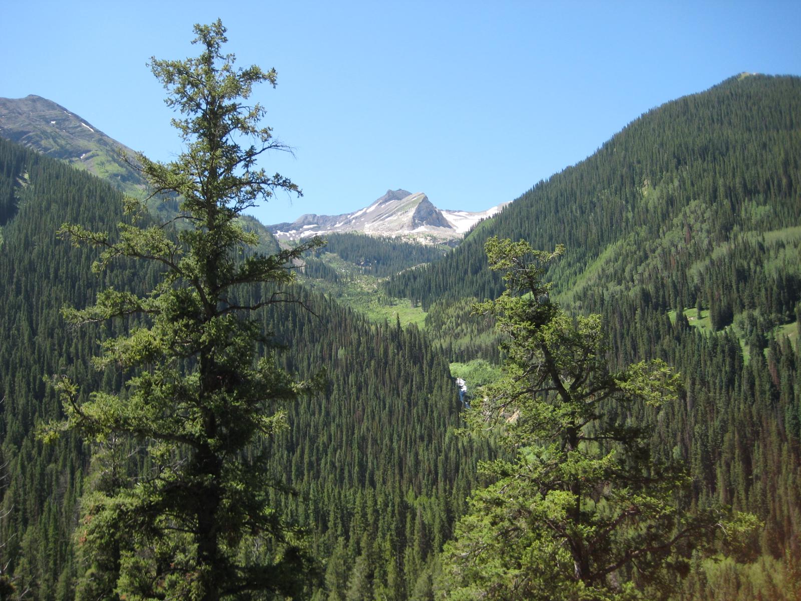 Commercial robots gunnison county - Gunnison County, CO