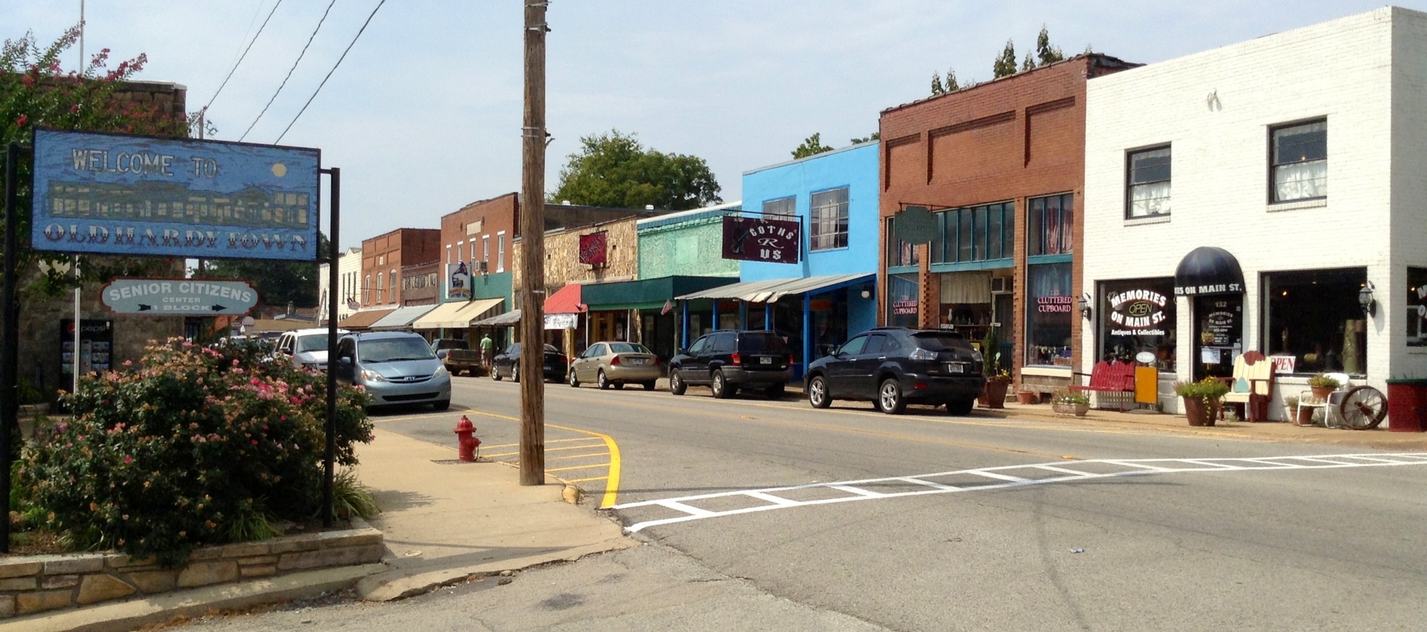 Commercial robots hardy - Hardy, AR