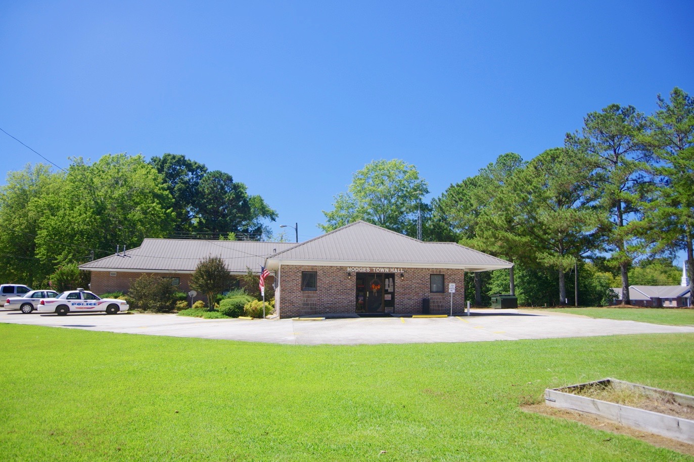 Commercial robots hodges - Hodges, AL