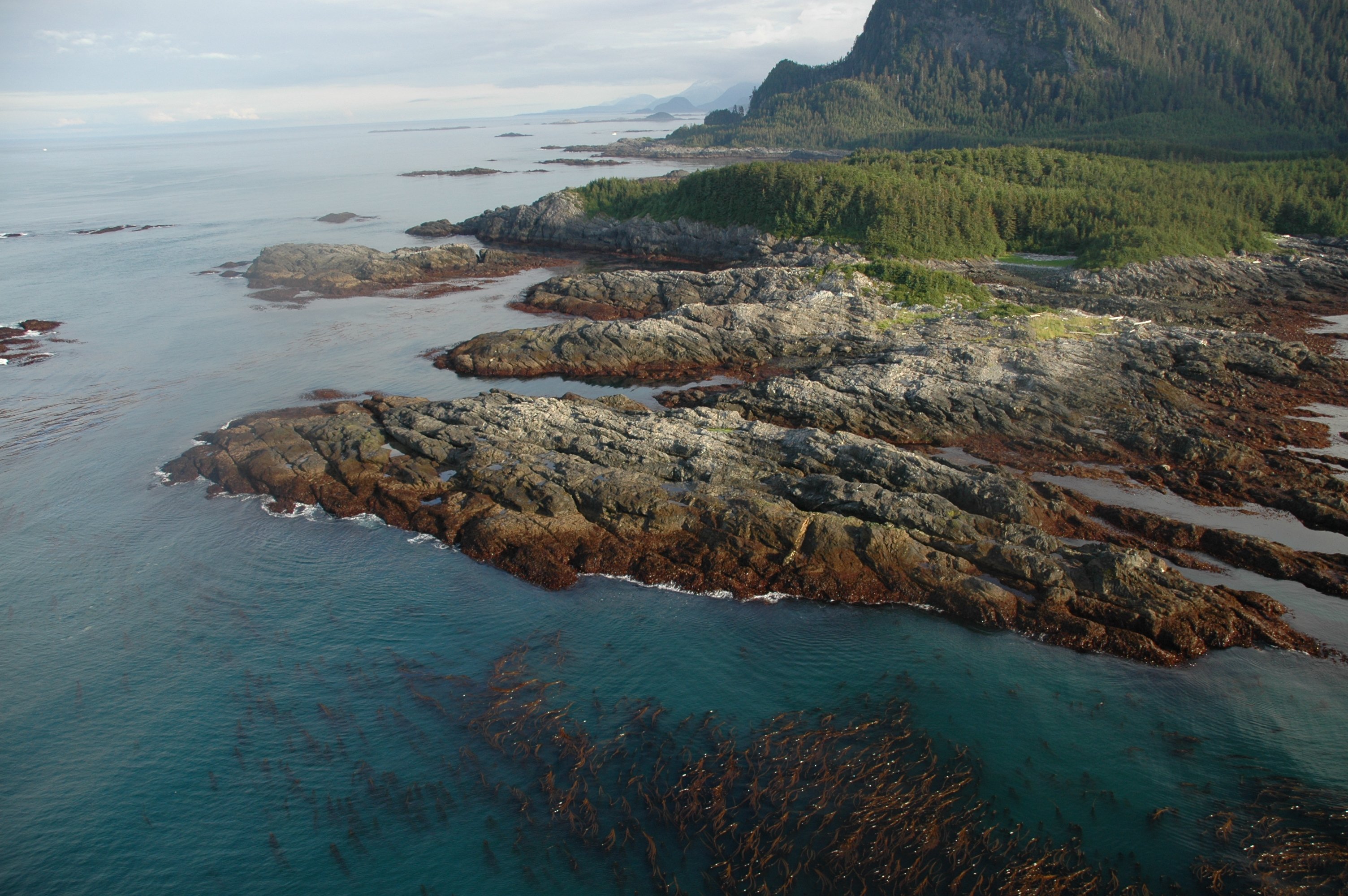 Commercial robots hoonah-angoon - Hoonah-Angoon, AK