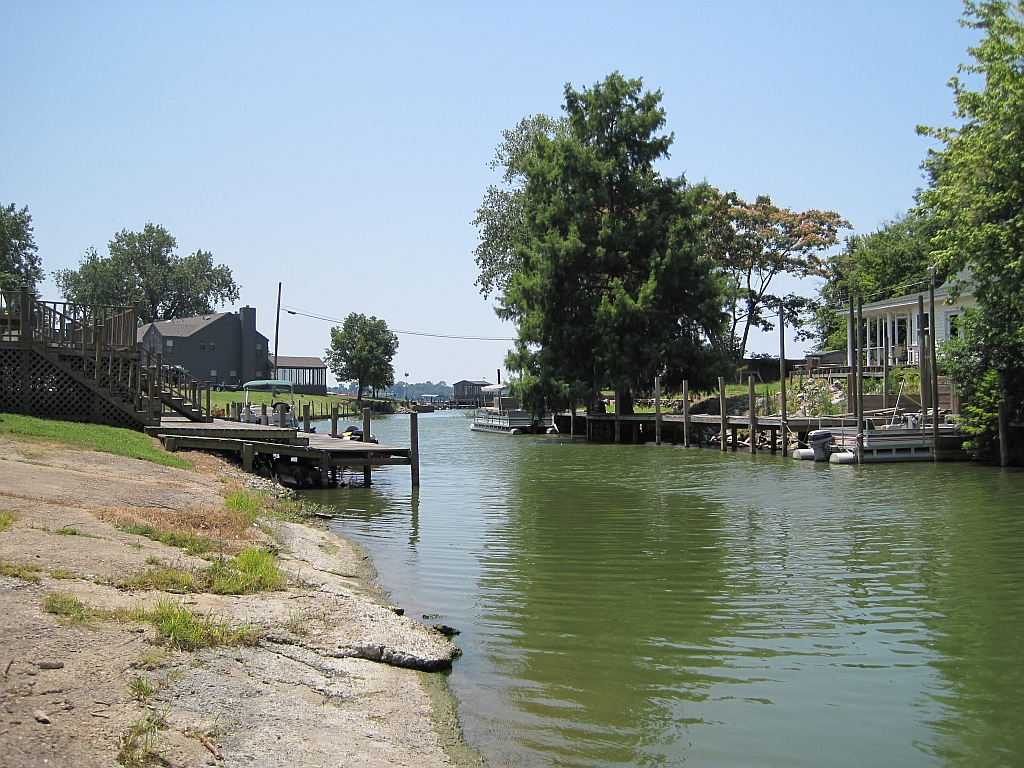 Commercial robots horseshoe lake - Horseshoe Lake, AR