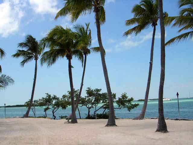 Commercial robots islamorada, village of islands - Islamorada, Village of Islands, FL