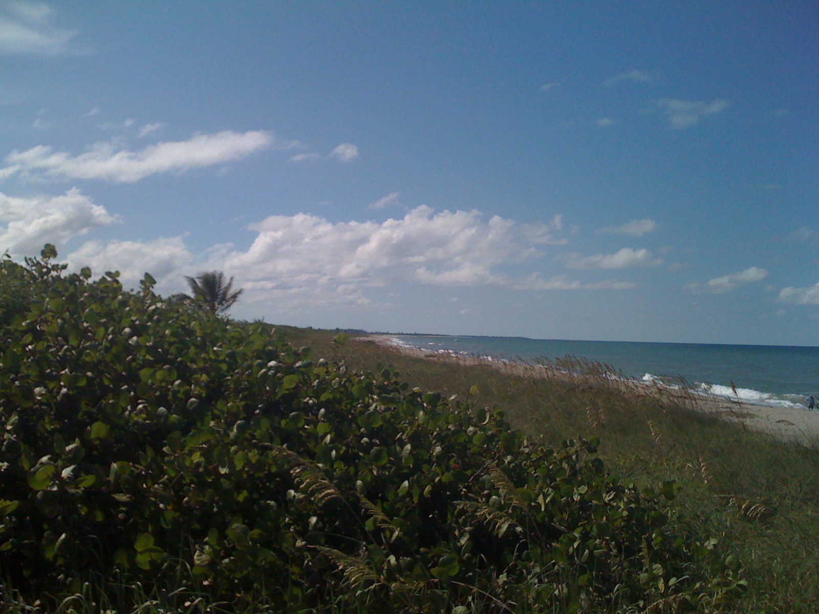 Commercial robots jupiter island - Jupiter Island, FL