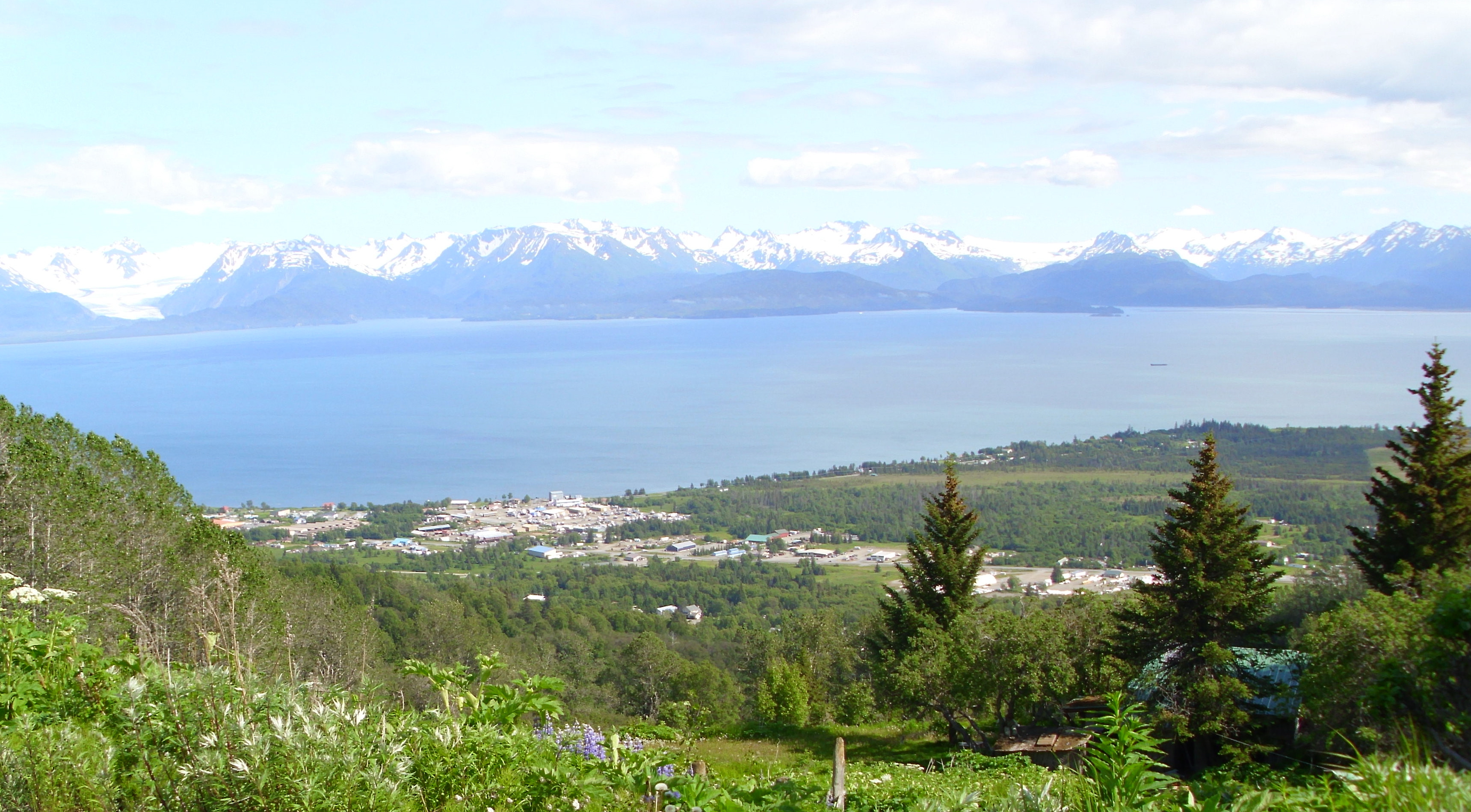 Commercial robots kachemak - Kachemak, AK