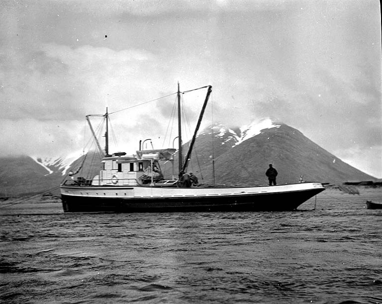 Commercial robots king cove - King Cove, AK