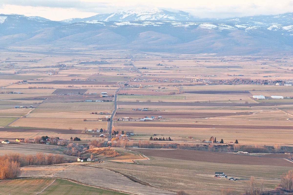 Commercial robots kittitas - Kittitas, WA