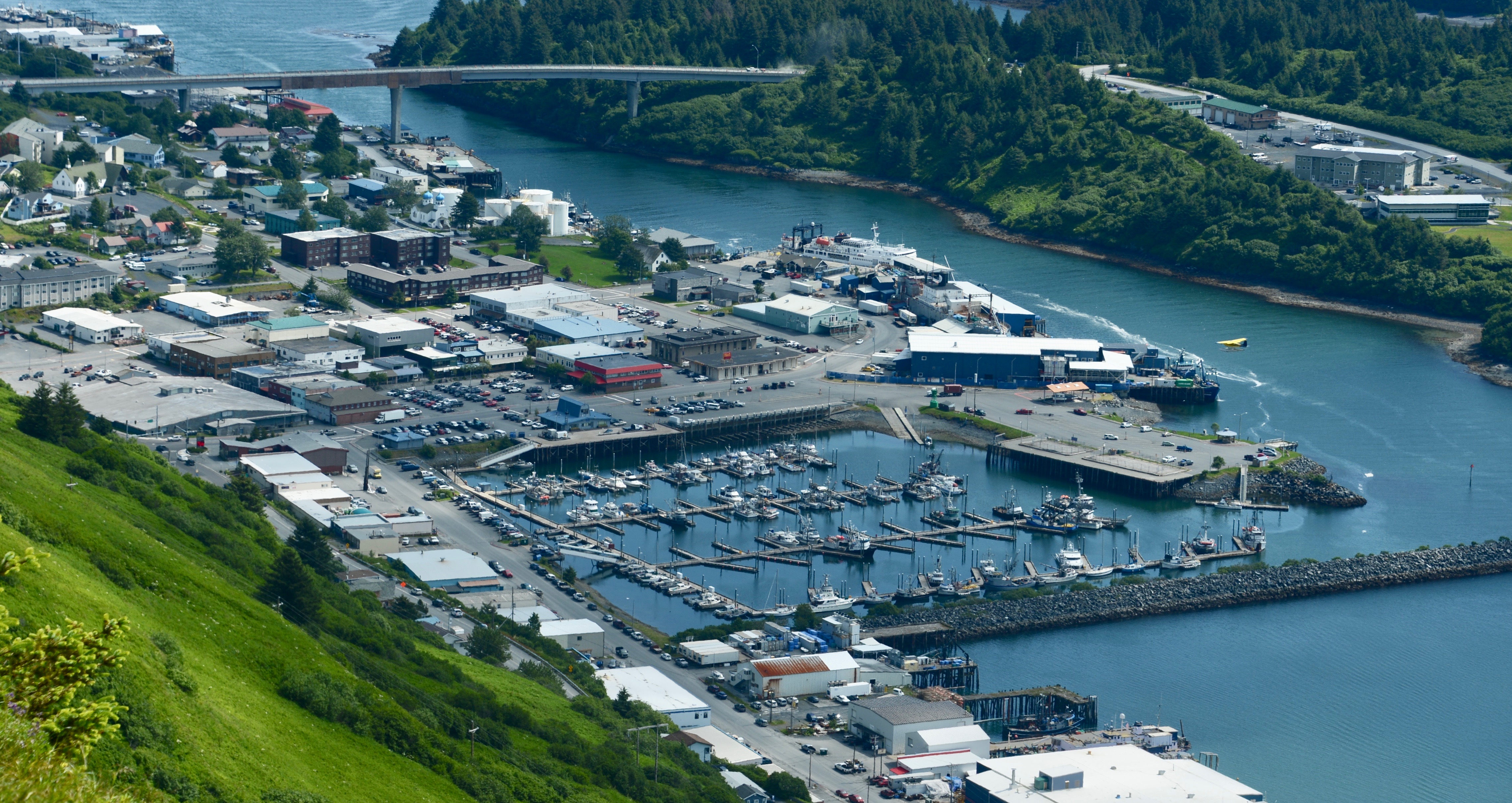 Commercial robots kodiak - Kodiak, AK