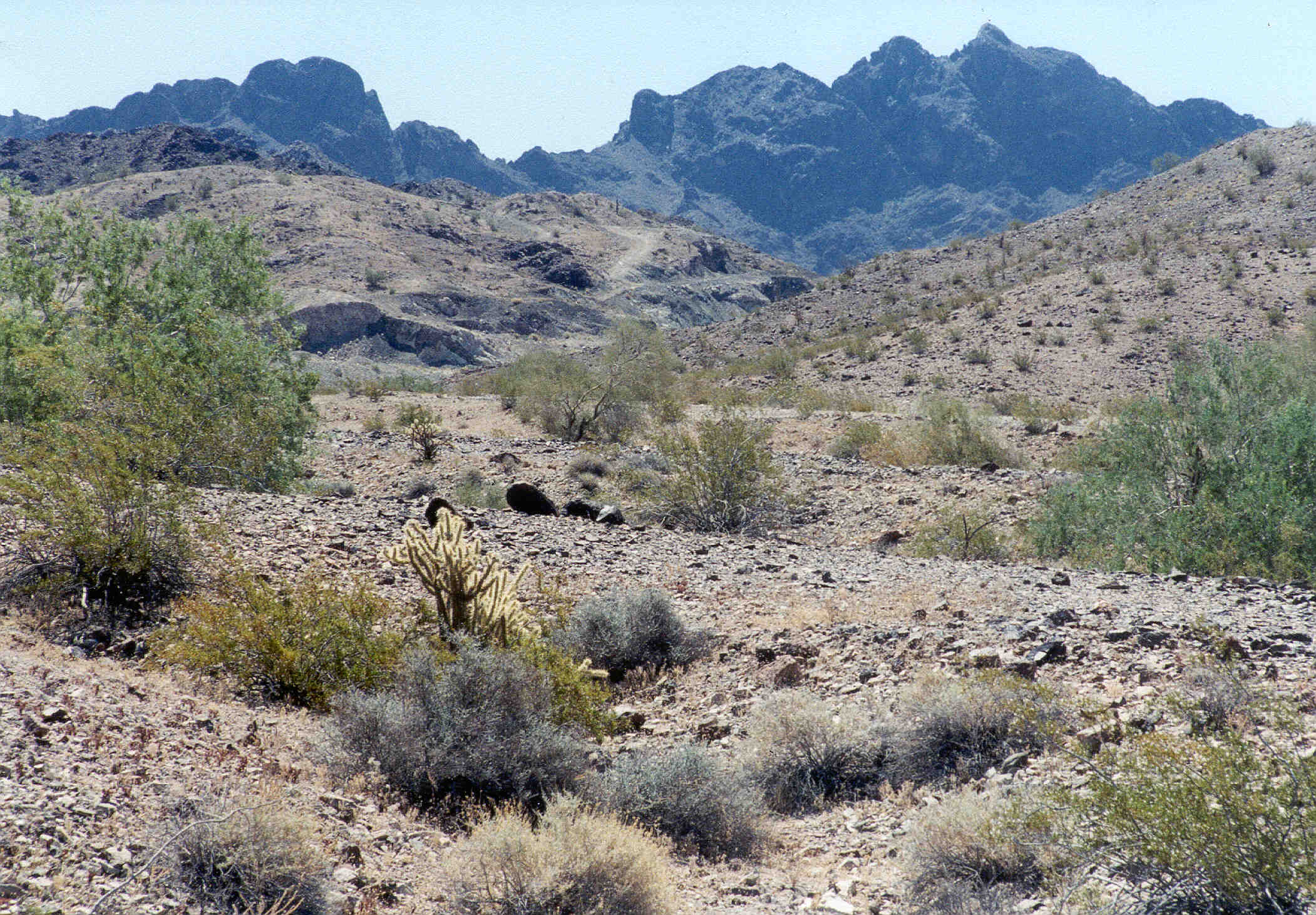 Commercial robots la paz county - La Paz County, AZ