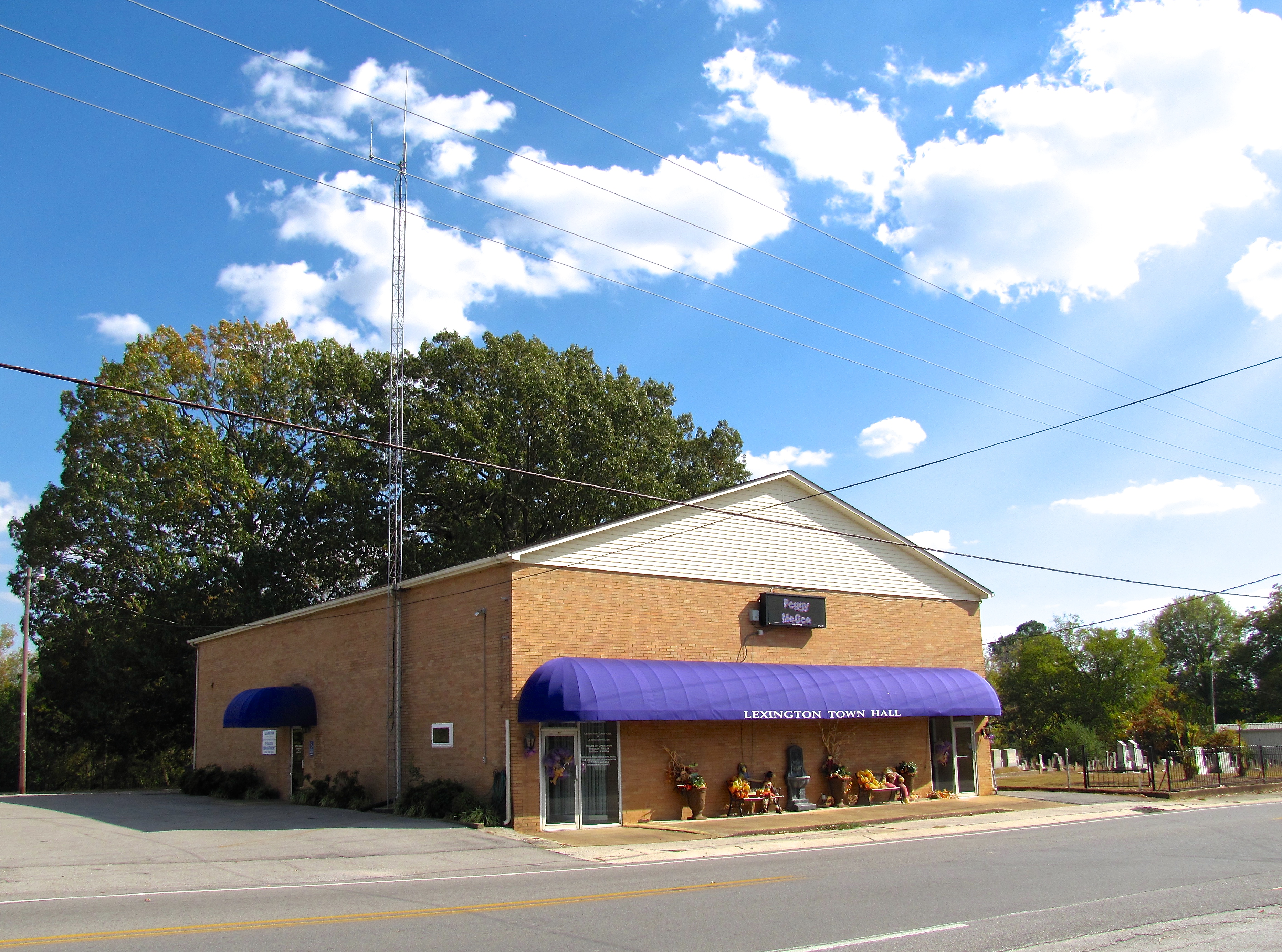Commercial robots lexington - Lexington, AL