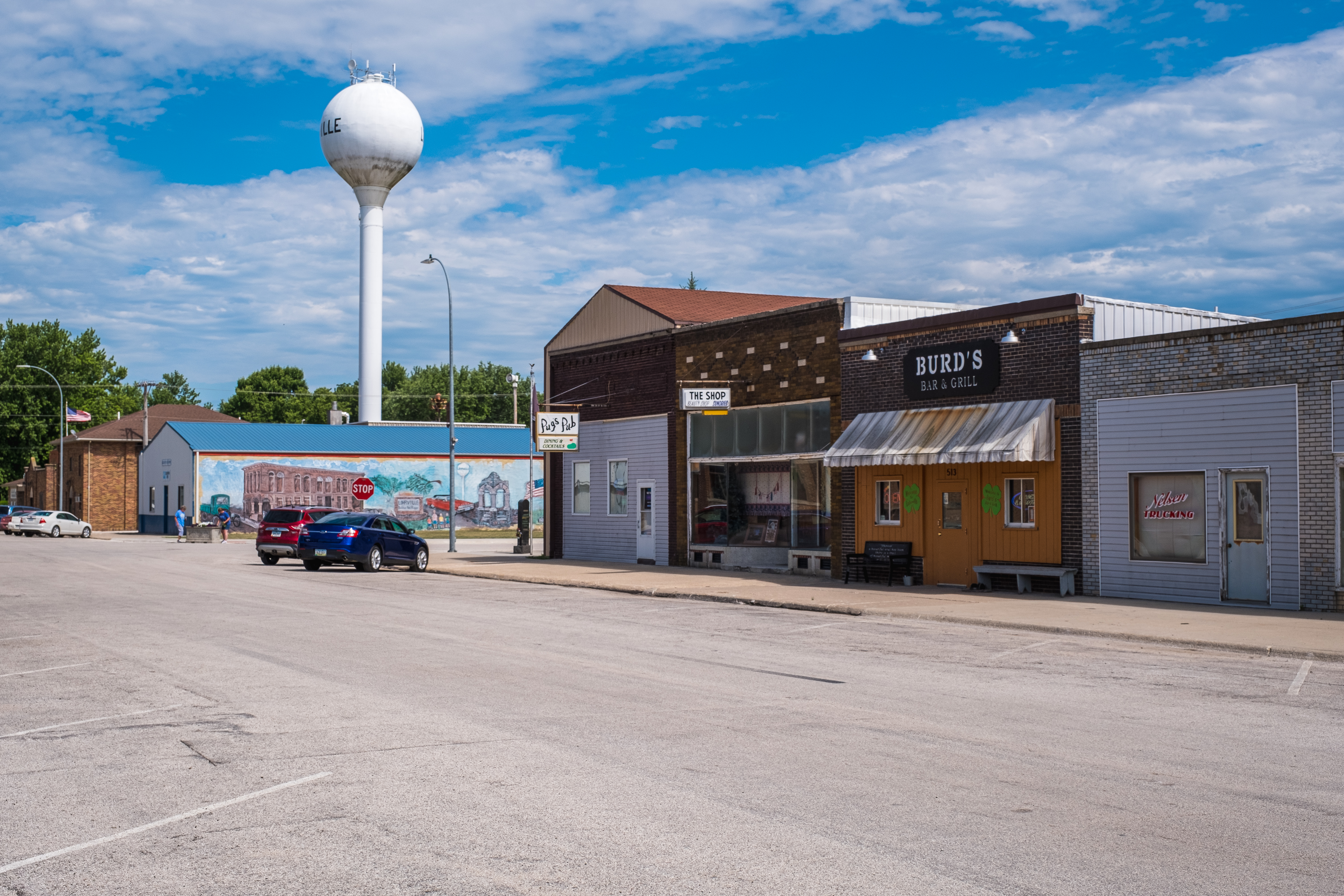 Commercial robots lohrville - Lohrville, IA