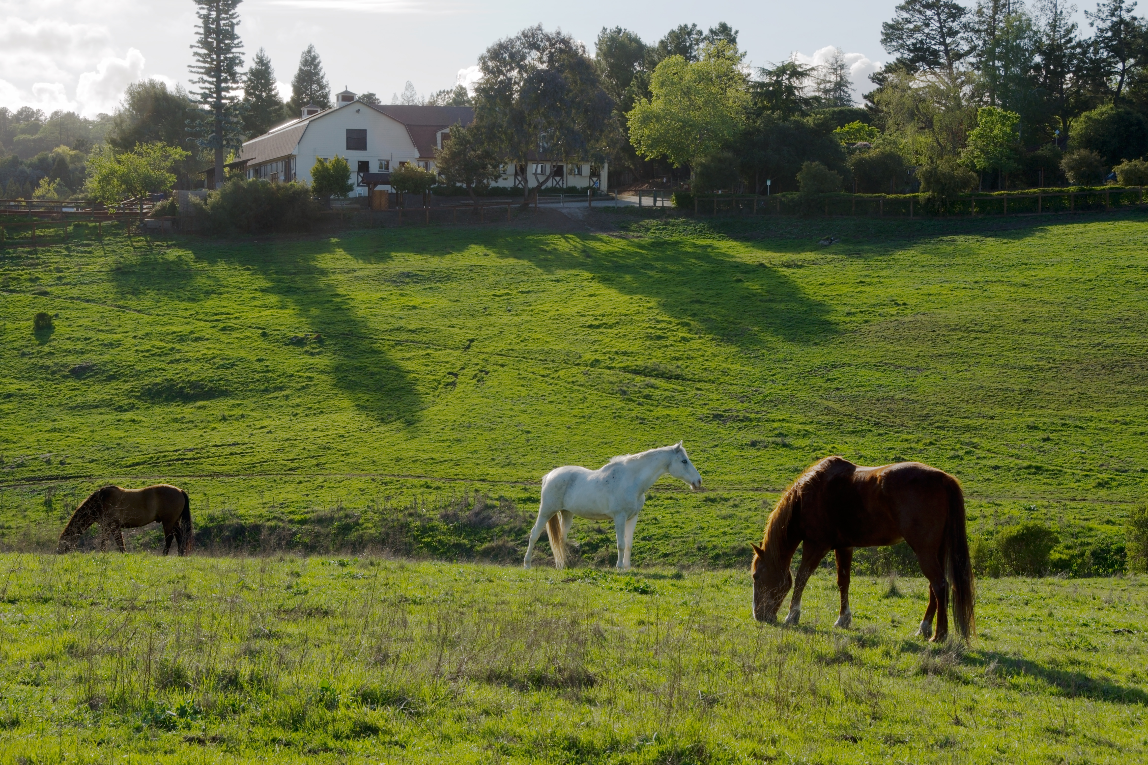 Commercial robots los altos hills - Los Altos Hills, CA