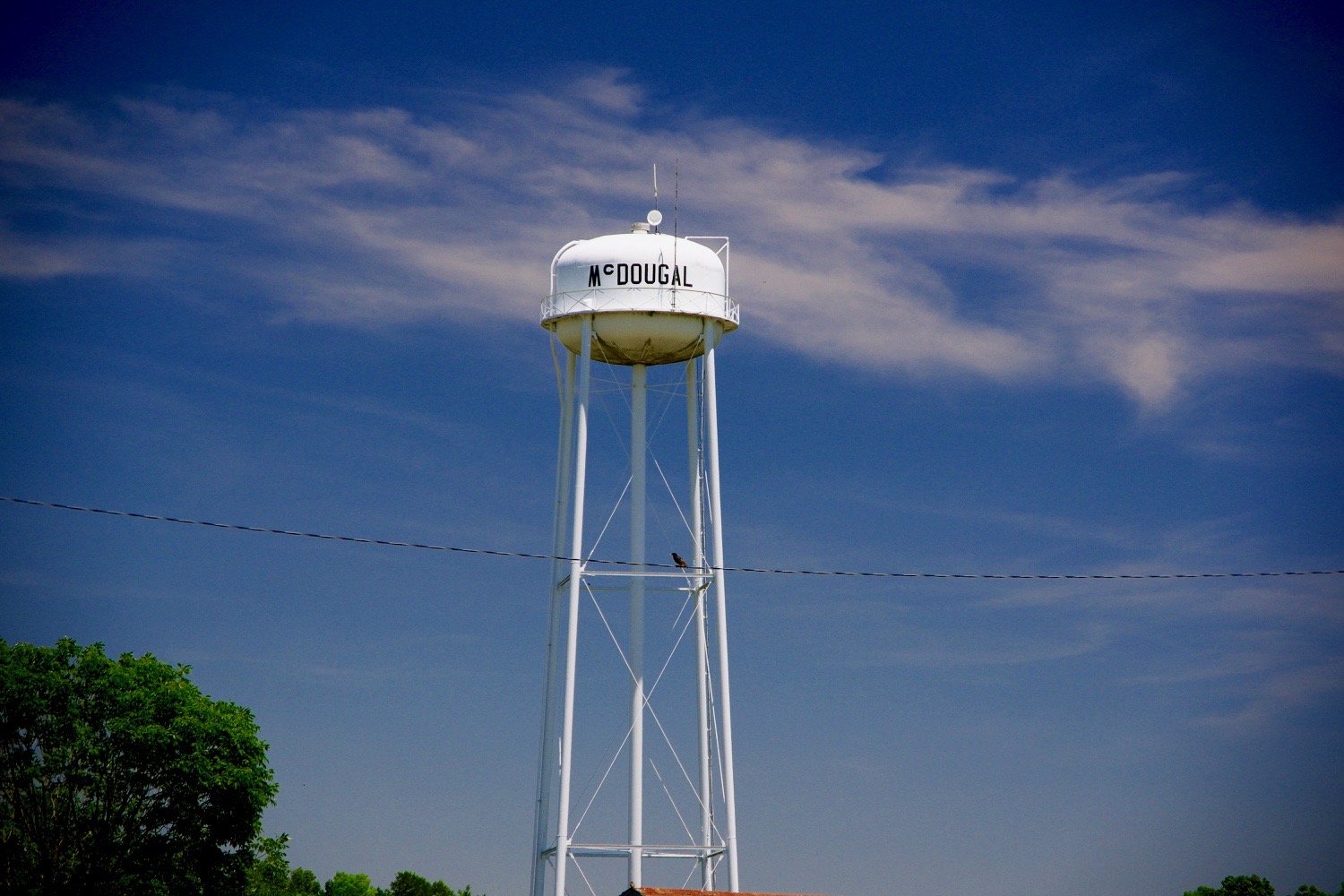 Commercial robots mcdougal - McDougal, AR