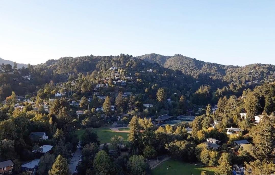 Commercial robots mill valley - Mill Valley, CA