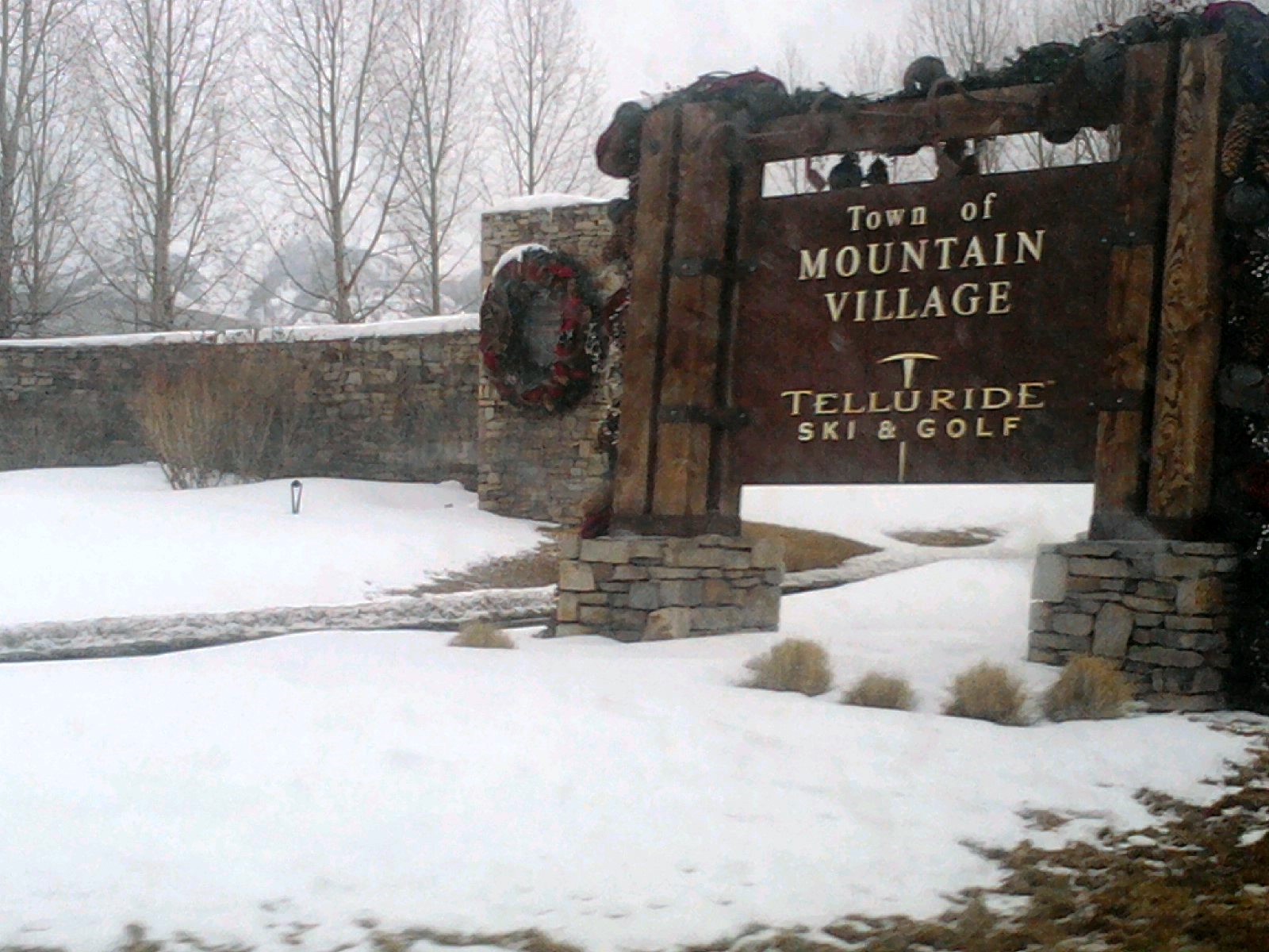Commercial robots mountain village - Mountain Village, CO